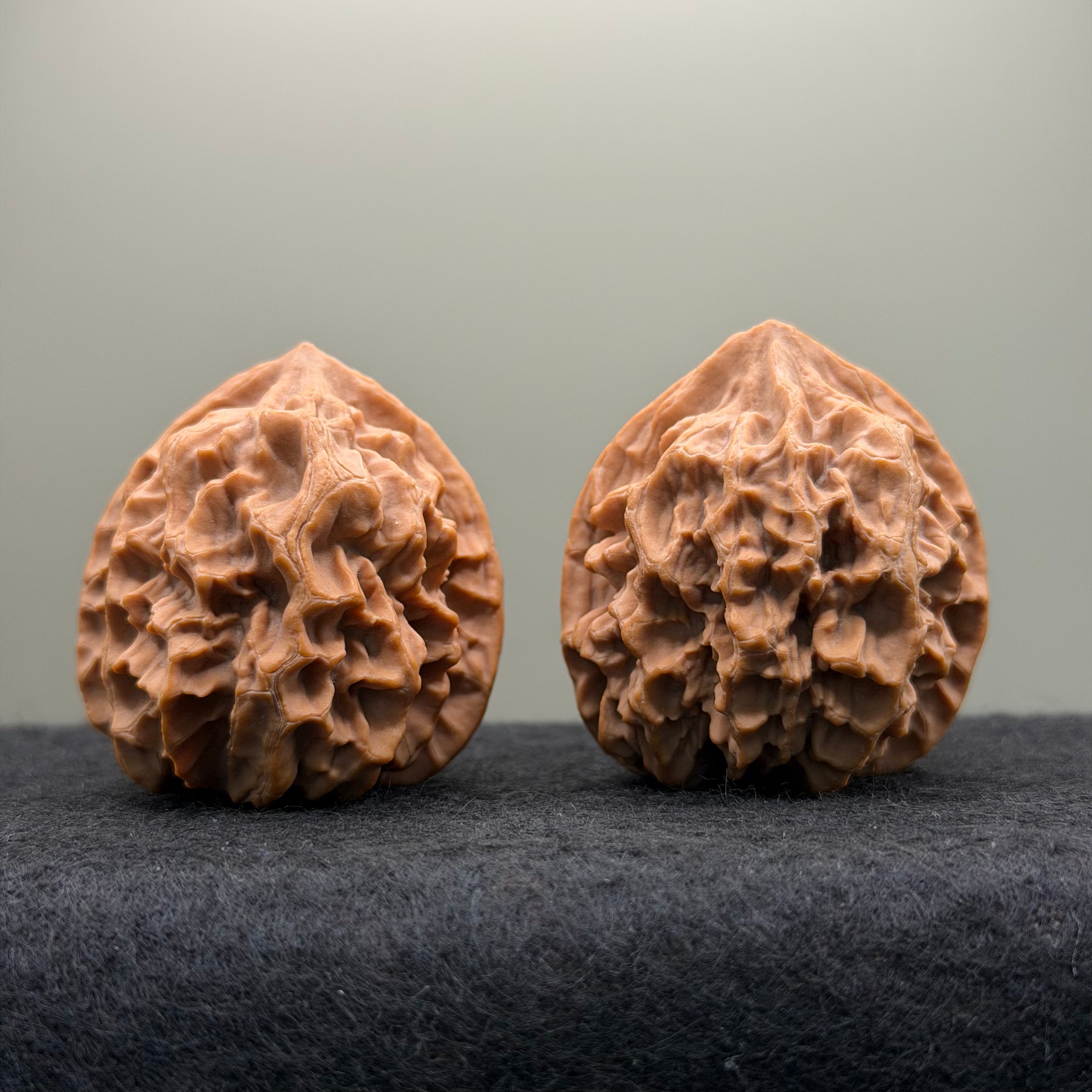Champion Crown Official Hat Wenwan Walnut