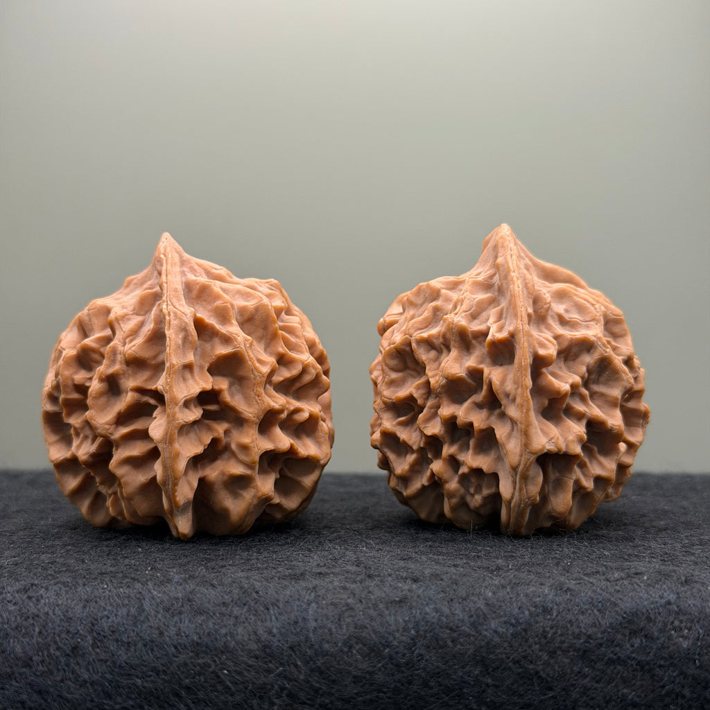 Champion Crown Official Hat Wenwan Walnut