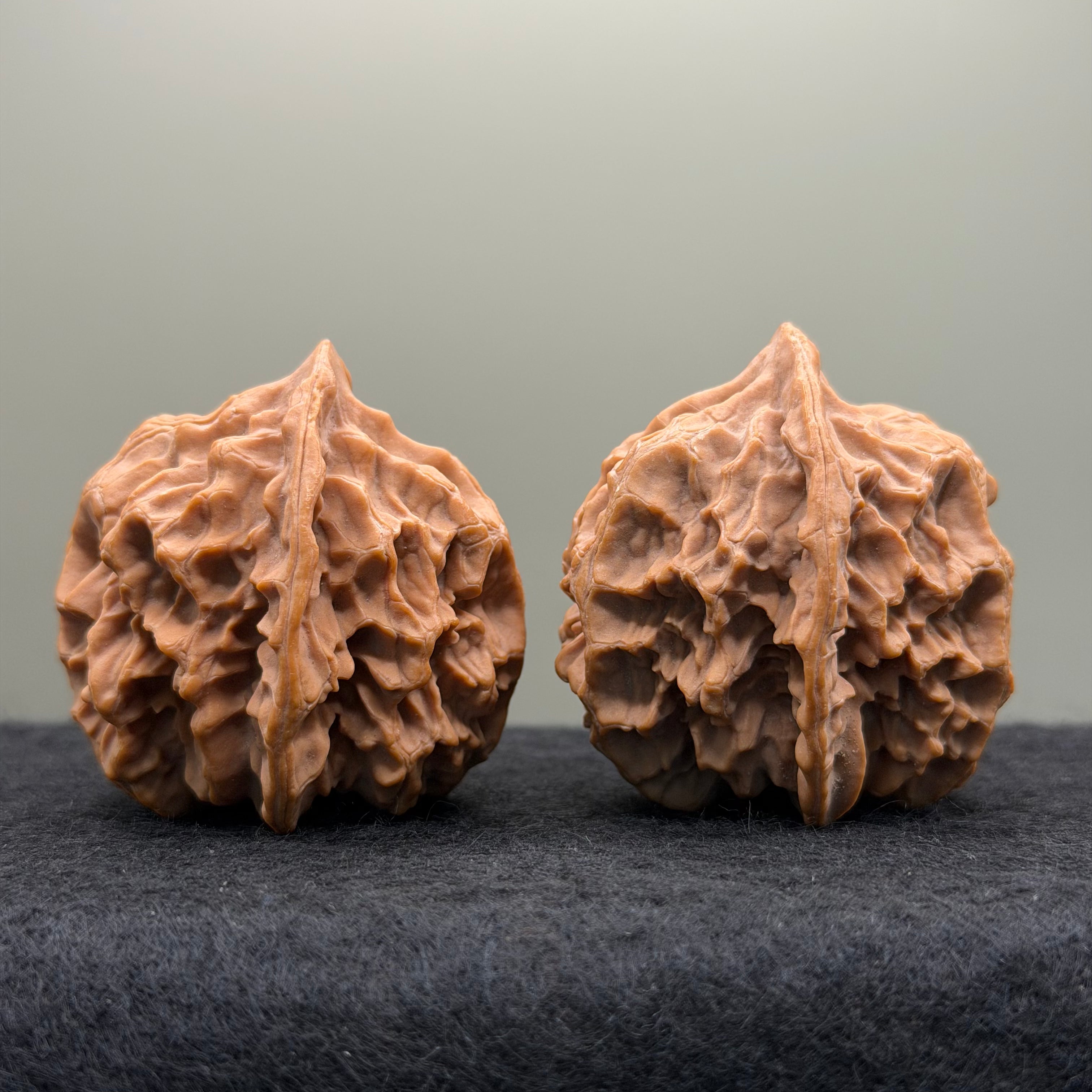 Champion Crown Official Hat Wenwan Walnut
