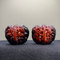 Ghost Rider · Ingot Ground Buried Wenwan Walnut · 37mm · Select Ritual