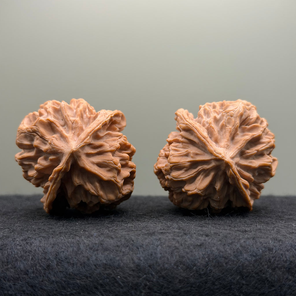 Champion Crown Official Hat Wenwan Walnut
