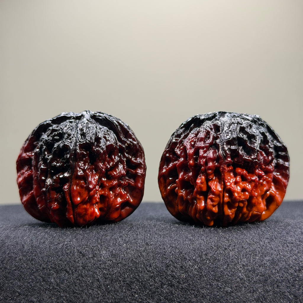 Ghost Rider · Four Towers Ground Buried Wenwan Walnut · 42mm · Select Ritual