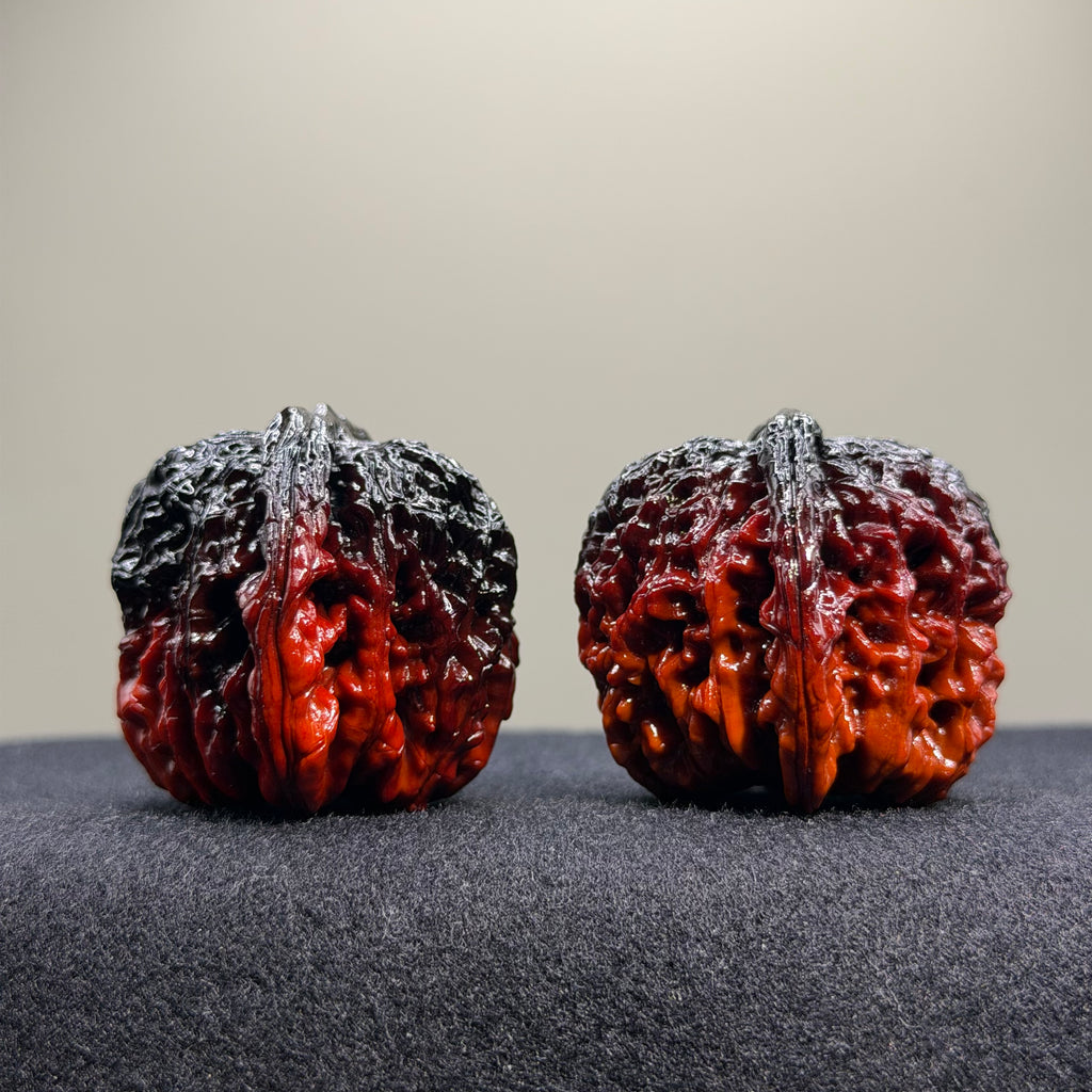 Ghost Rider · Four Towers Ground Buried Wenwan Walnut · 42mm · Select Ritual