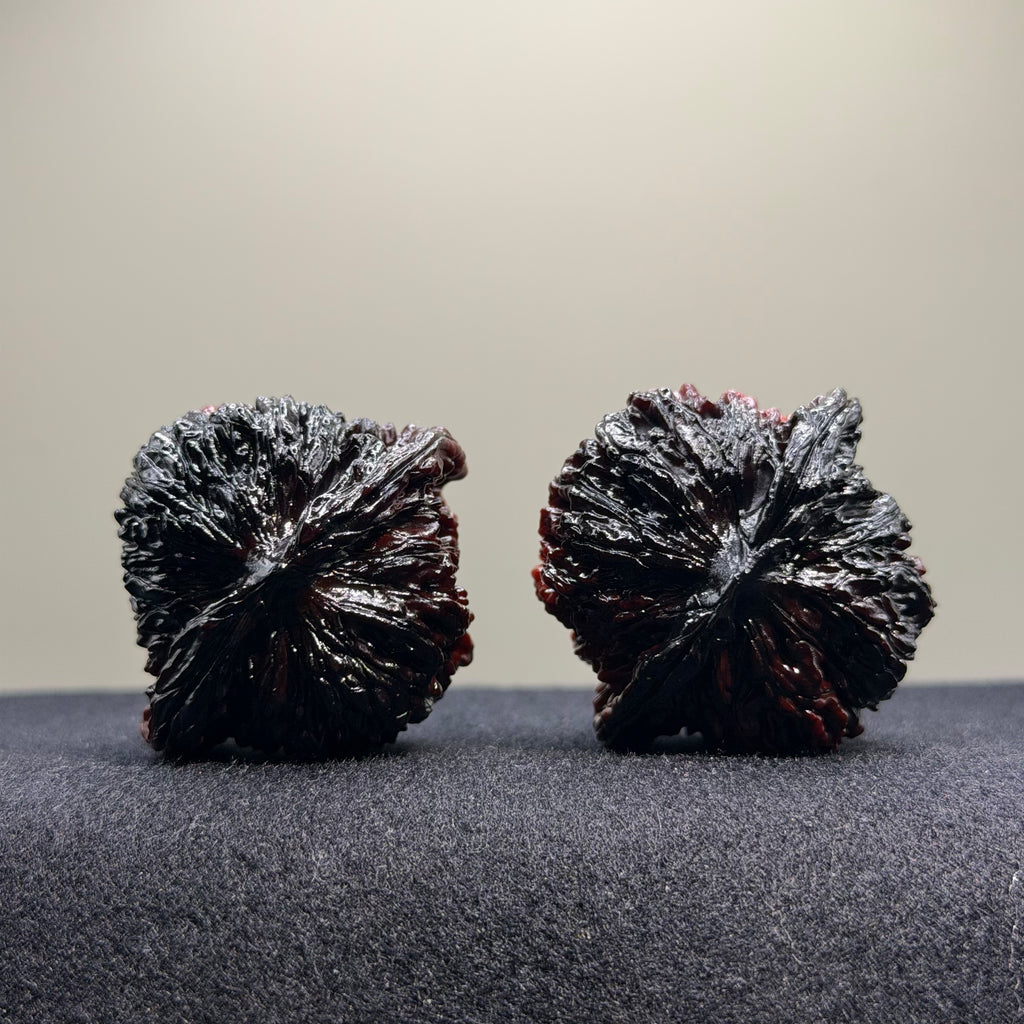 Ghost Rider · Four Towers Ground Buried Wenwan Walnut · 42mm · Select Ritual