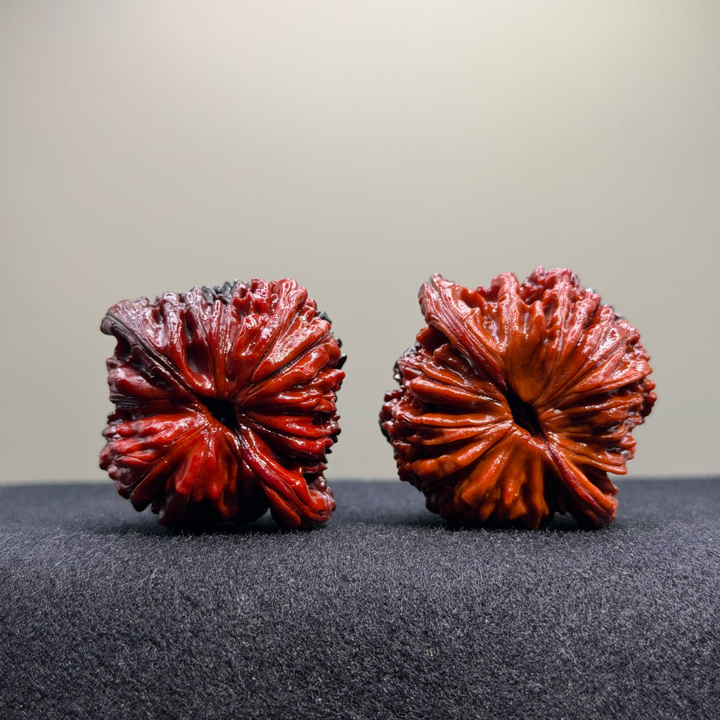 Ghost Rider · Four Towers Ground Buried Wenwan Walnut · 42mm · Select Ritual