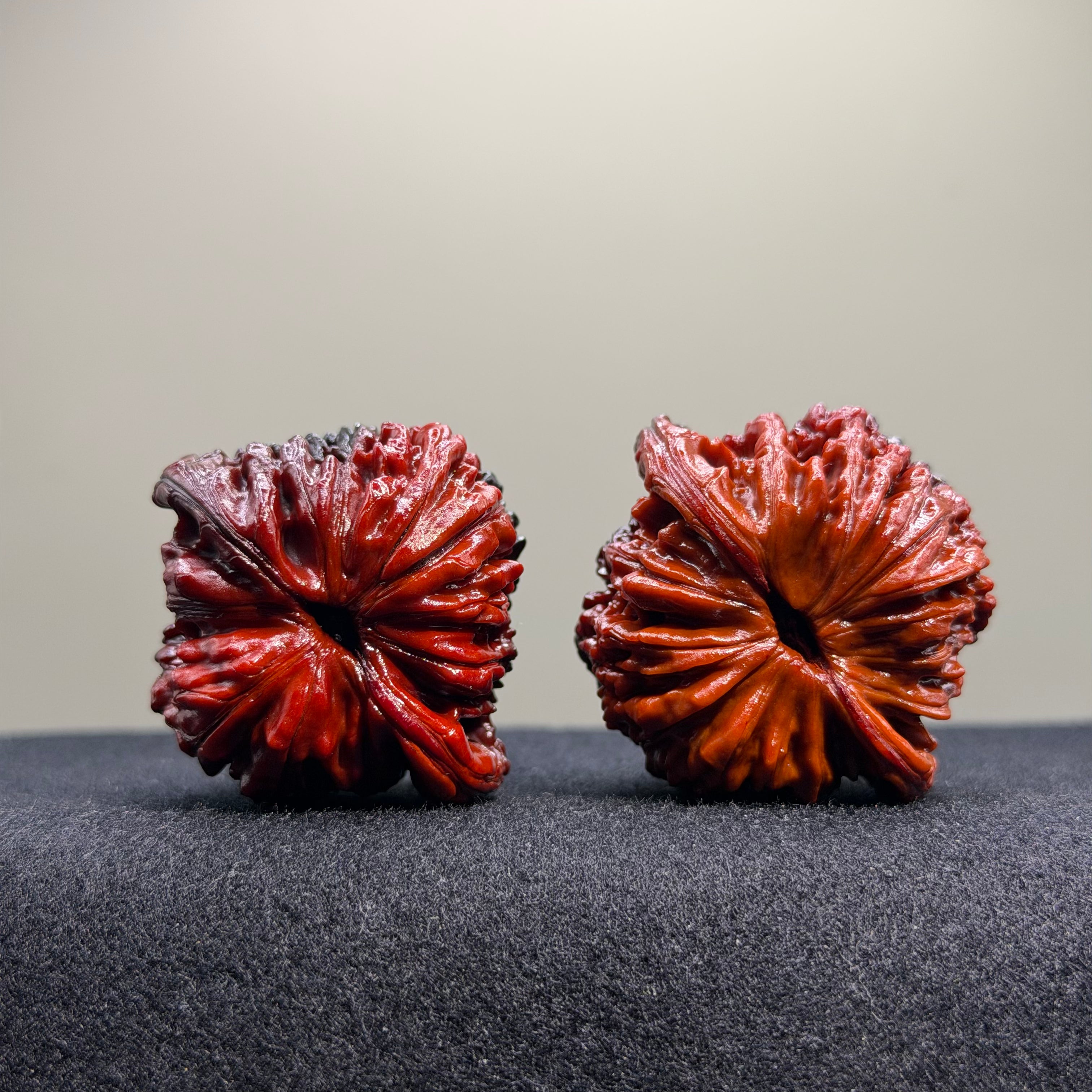 Ghost Rider · Four Towers Ground Buried Wenwan Walnut · 42mm · Select Ritual