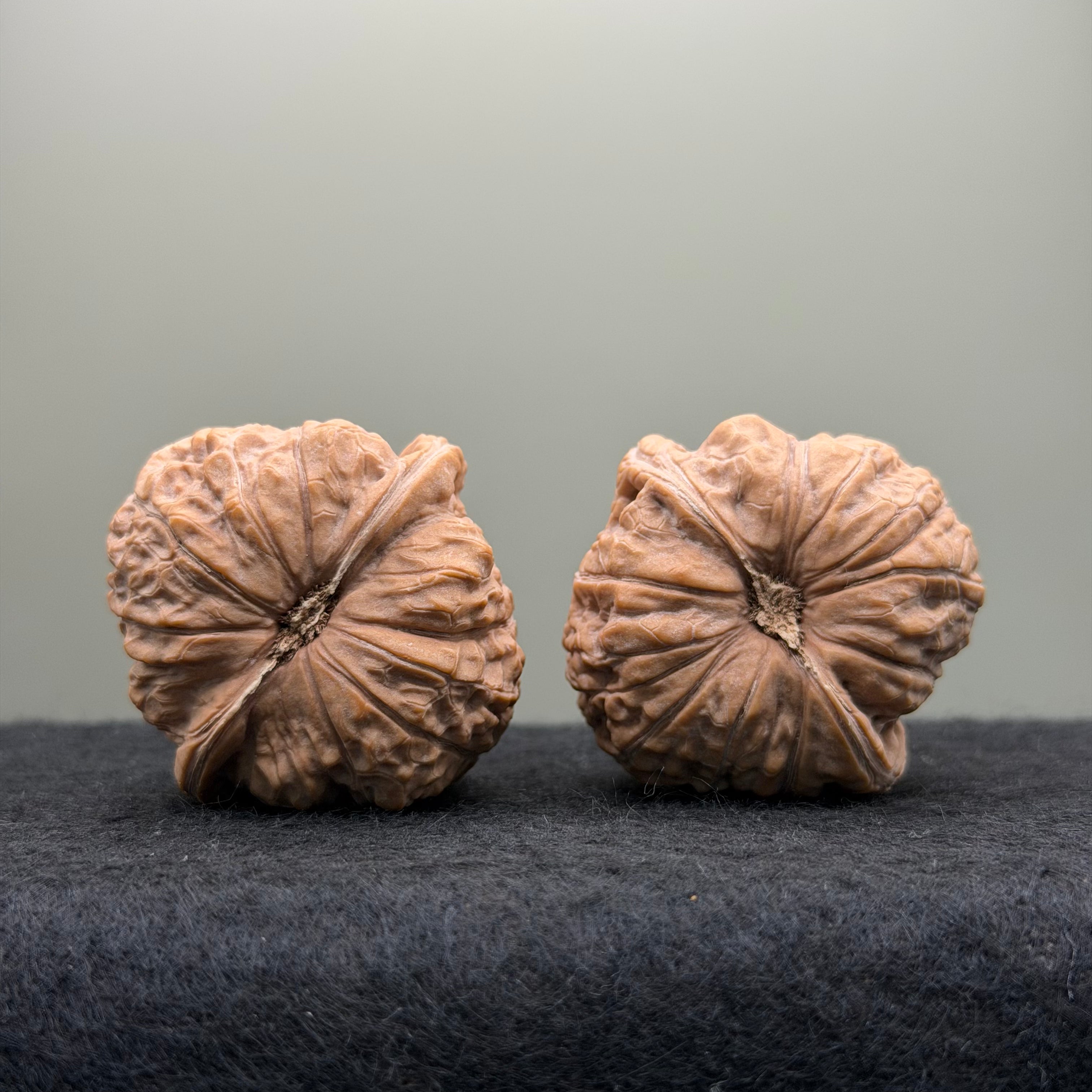 Pumpkin Lion Head Wenwan Walnut