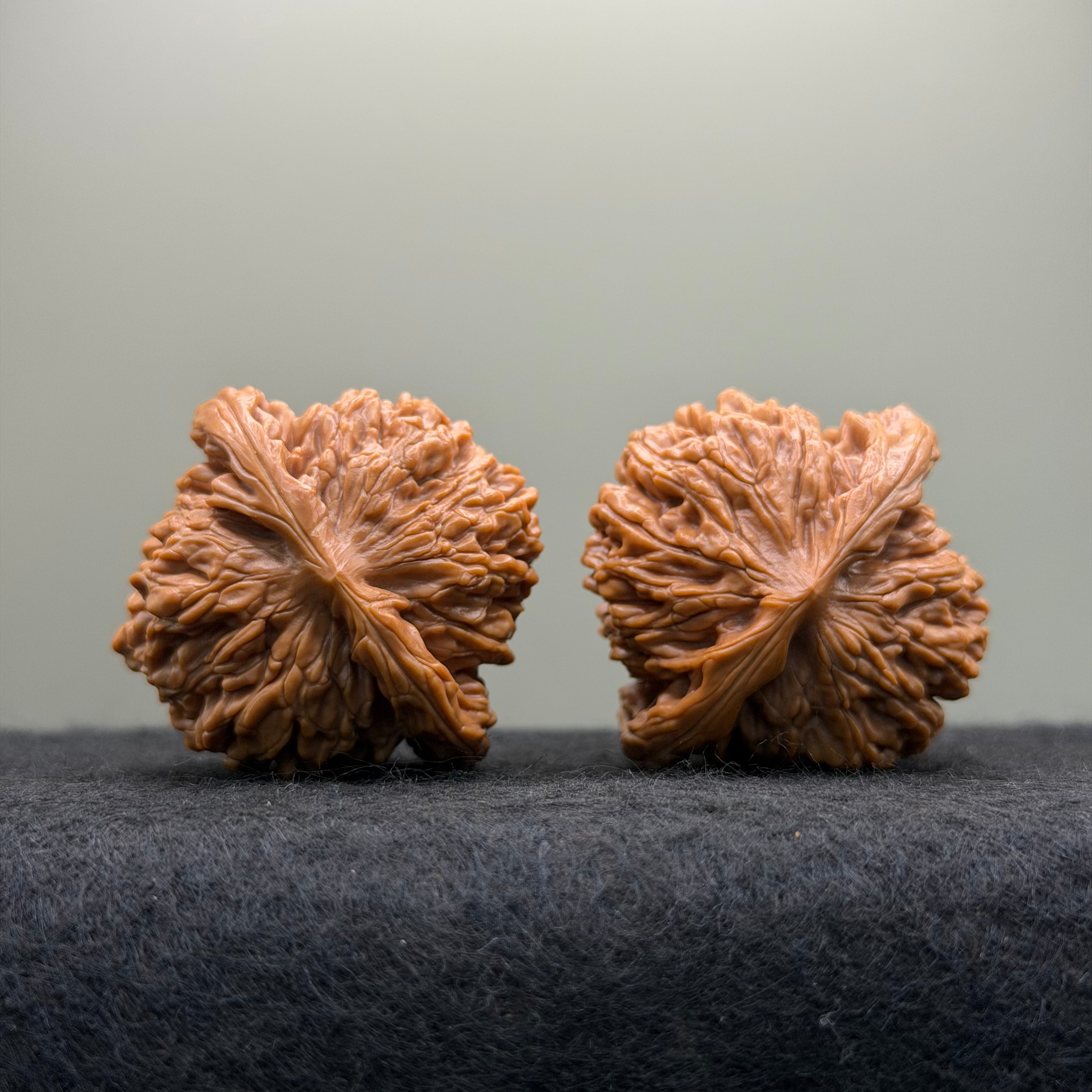 Sizuolou Lion Head Wenwan Walnut