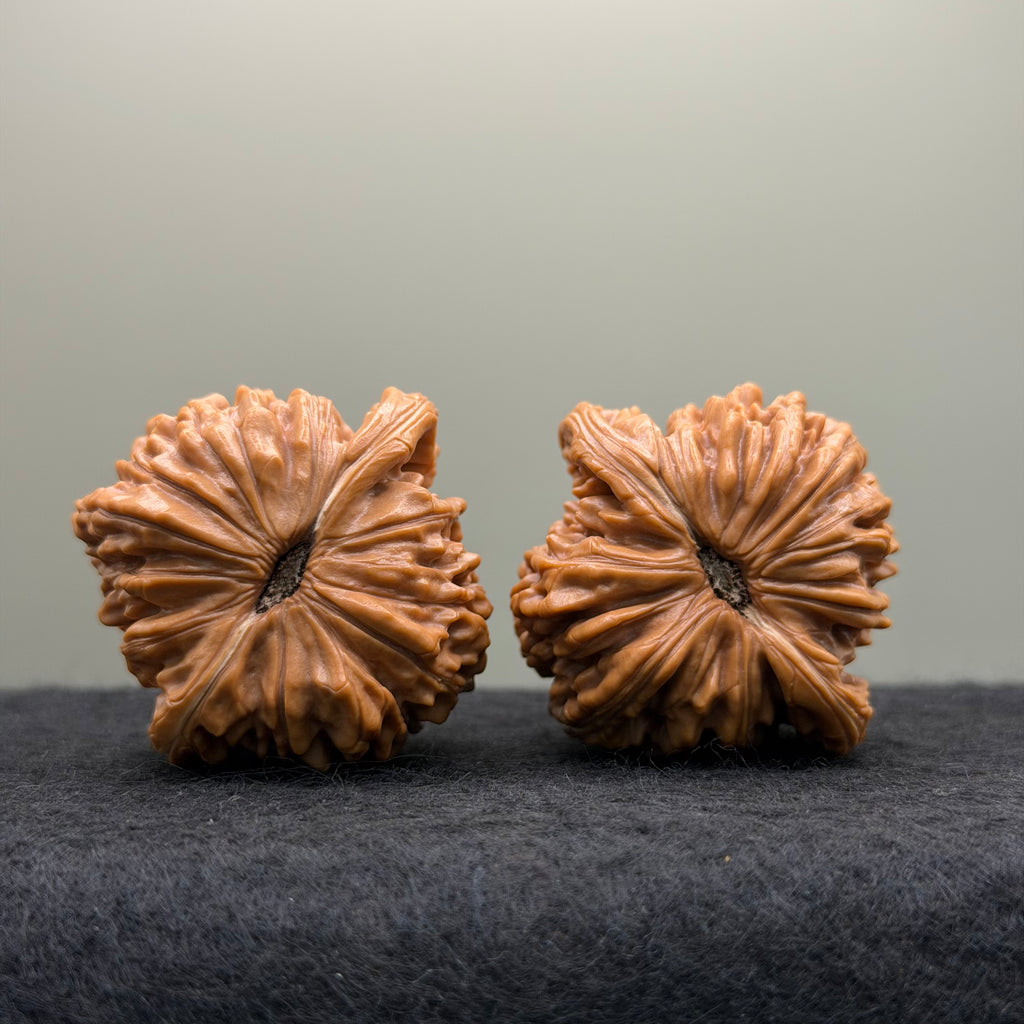 Four Towers Wenwan Walnut