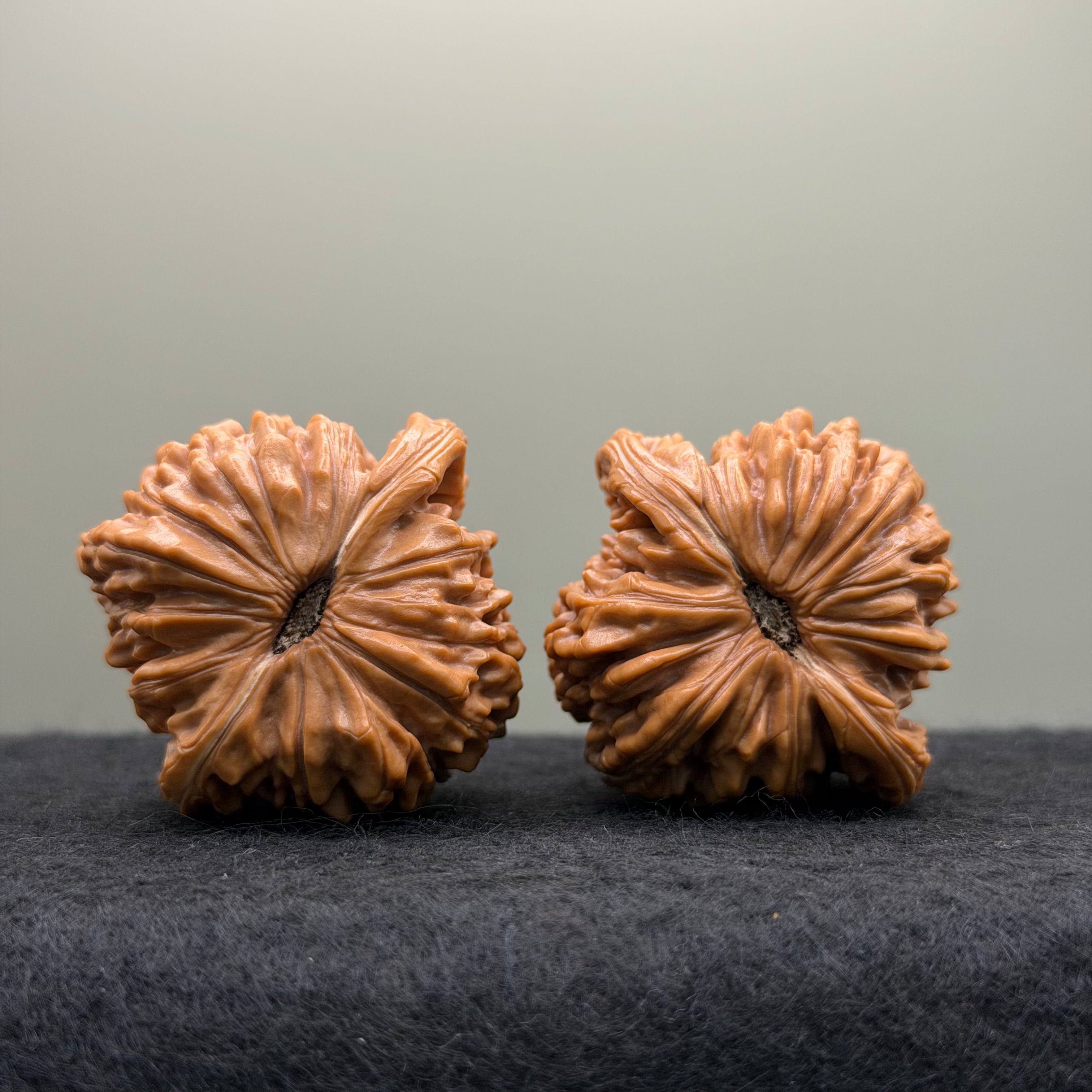 Four Towers Wenwan Walnut