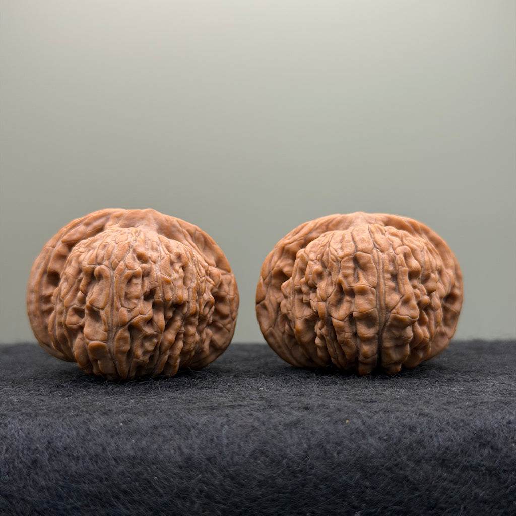 Four Towers Wenwan Walnut
