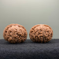Four Towers Wenwan Walnut