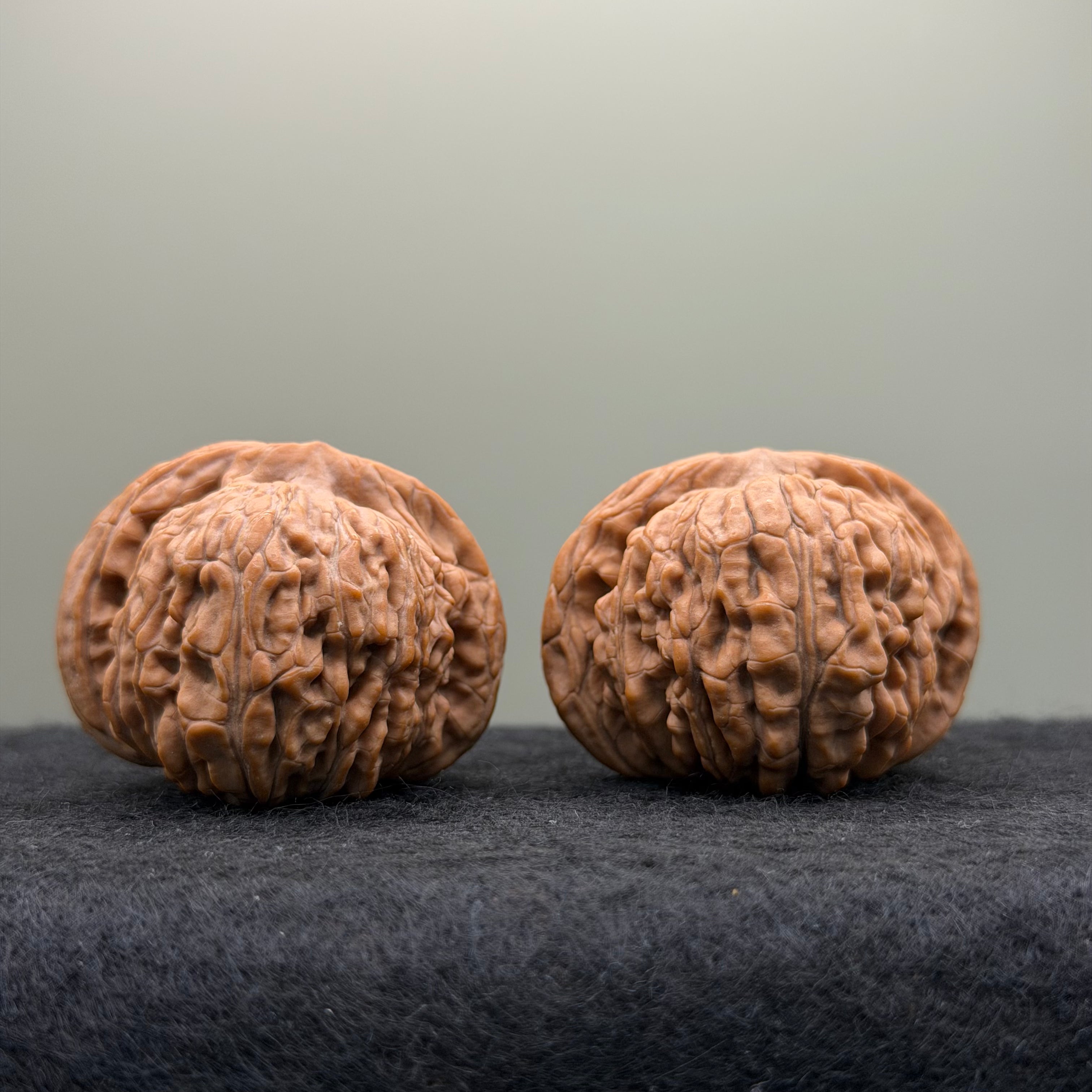 Sizuolou Lion Head Wenwan Walnut