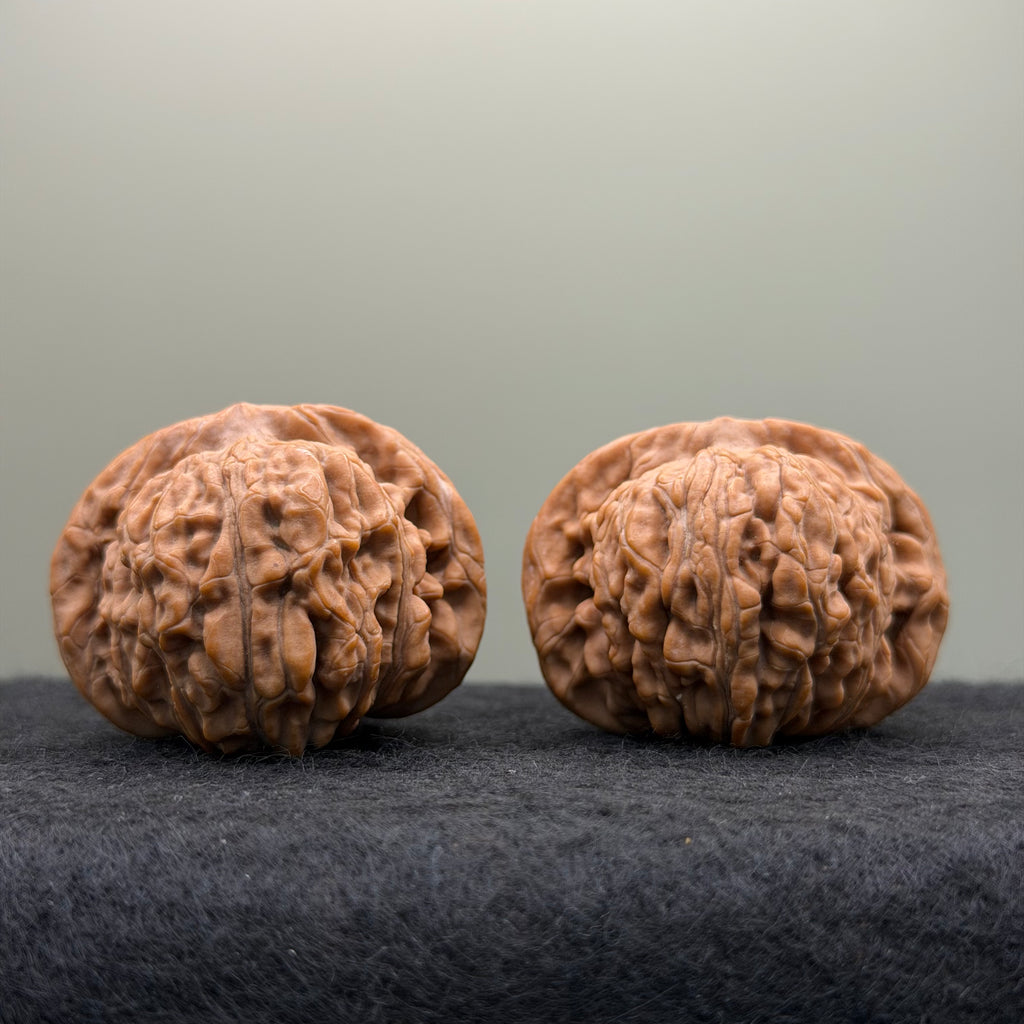 Four Towers Wenwan Walnut