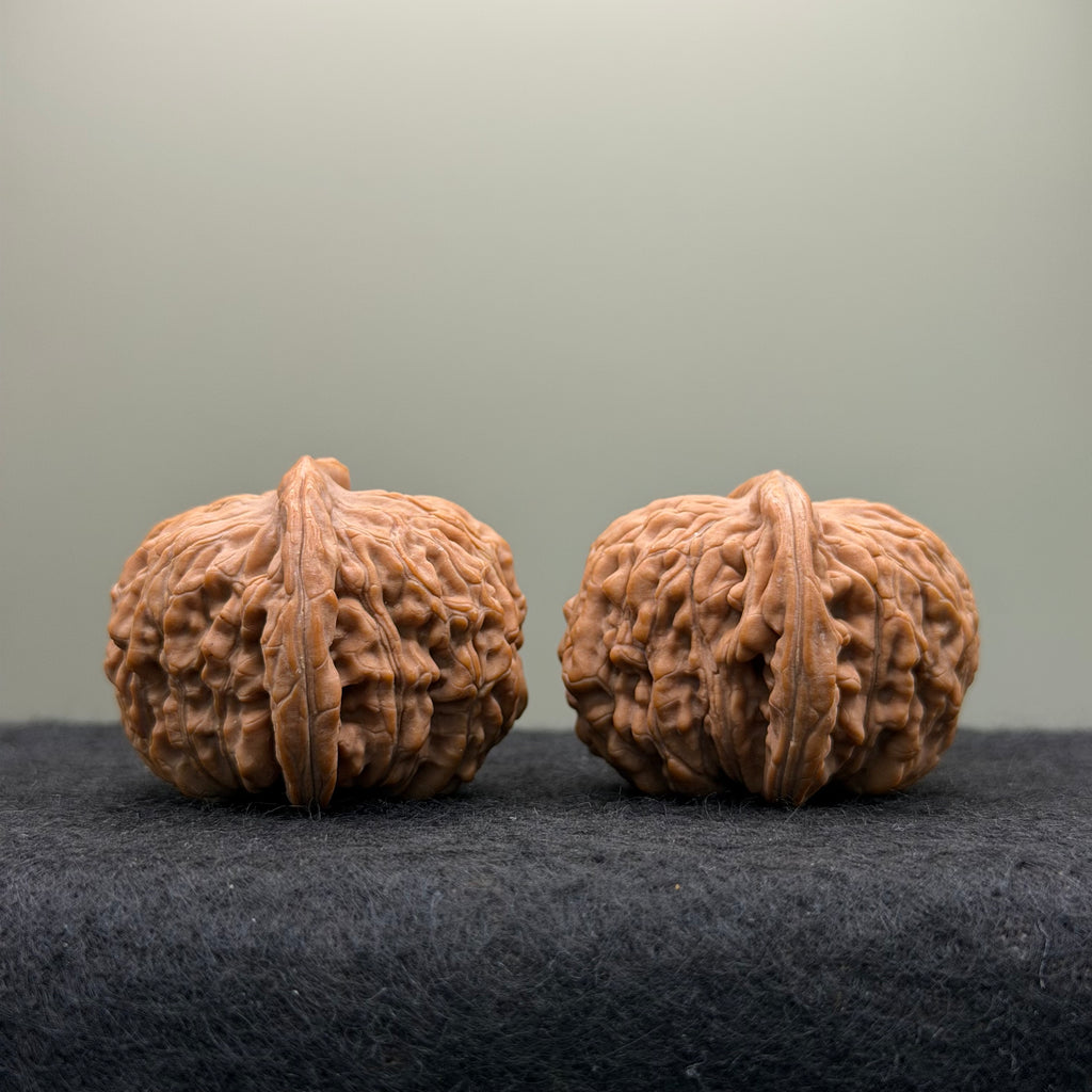 Four Towers Wenwan Walnut