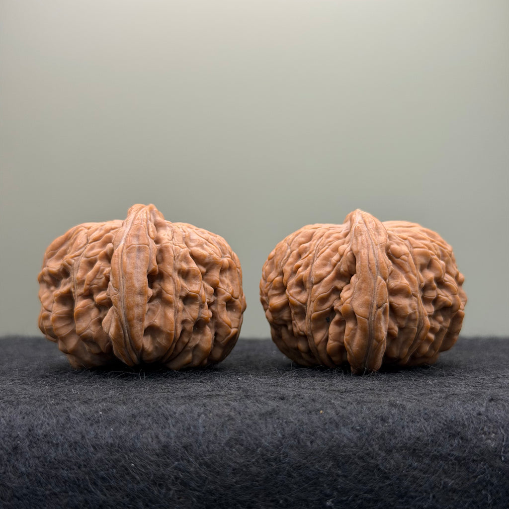 Four Towers Wenwan Walnut