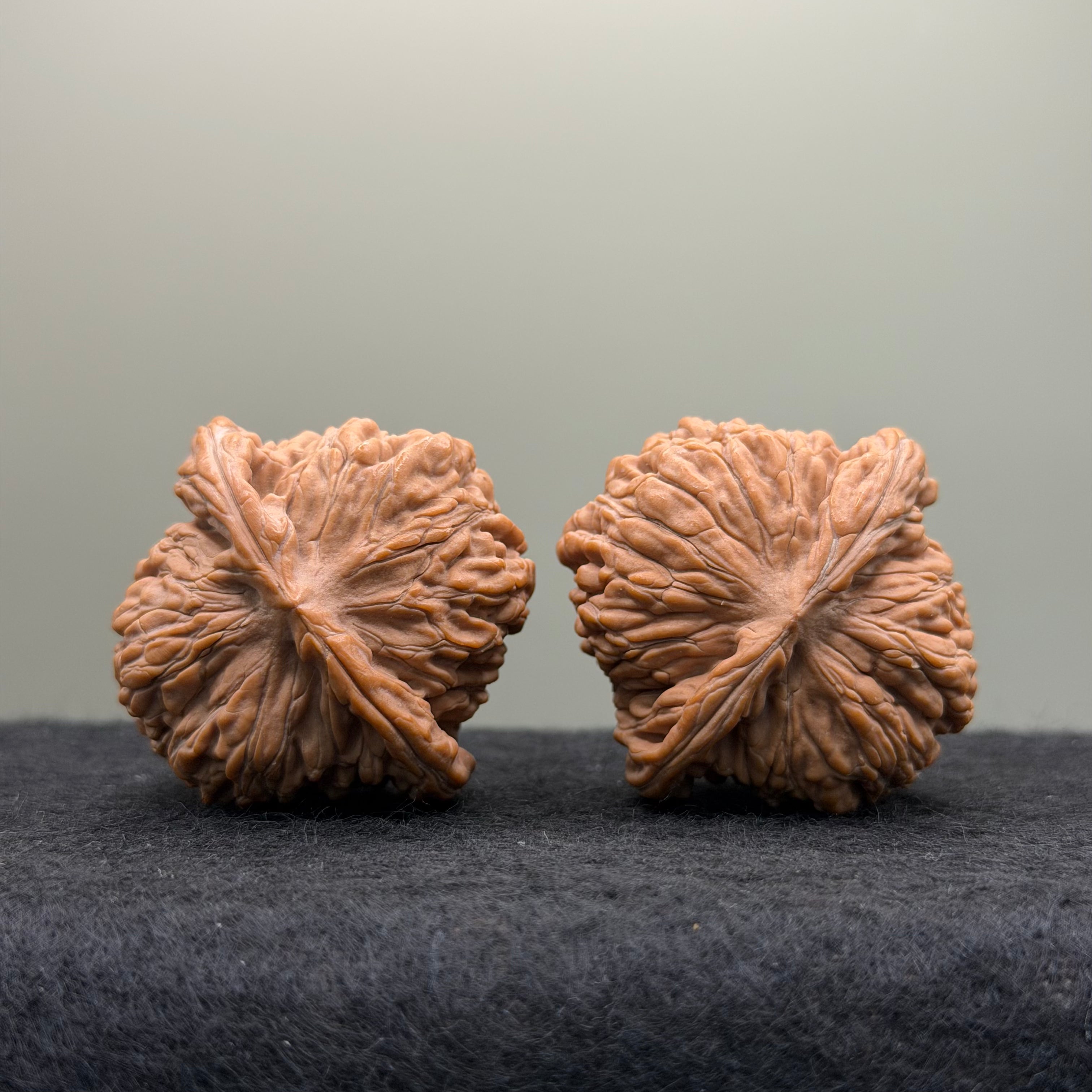 Sizuolou Lion Head Wenwan Walnut