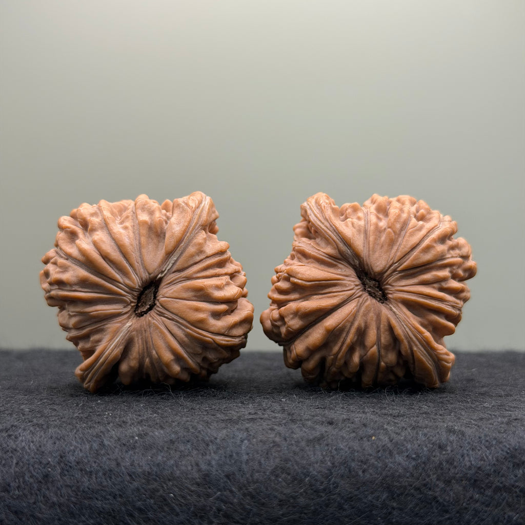 Four Towers Wenwan Walnut