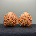 Moon Gazing Lion Head Wenwan Walnut