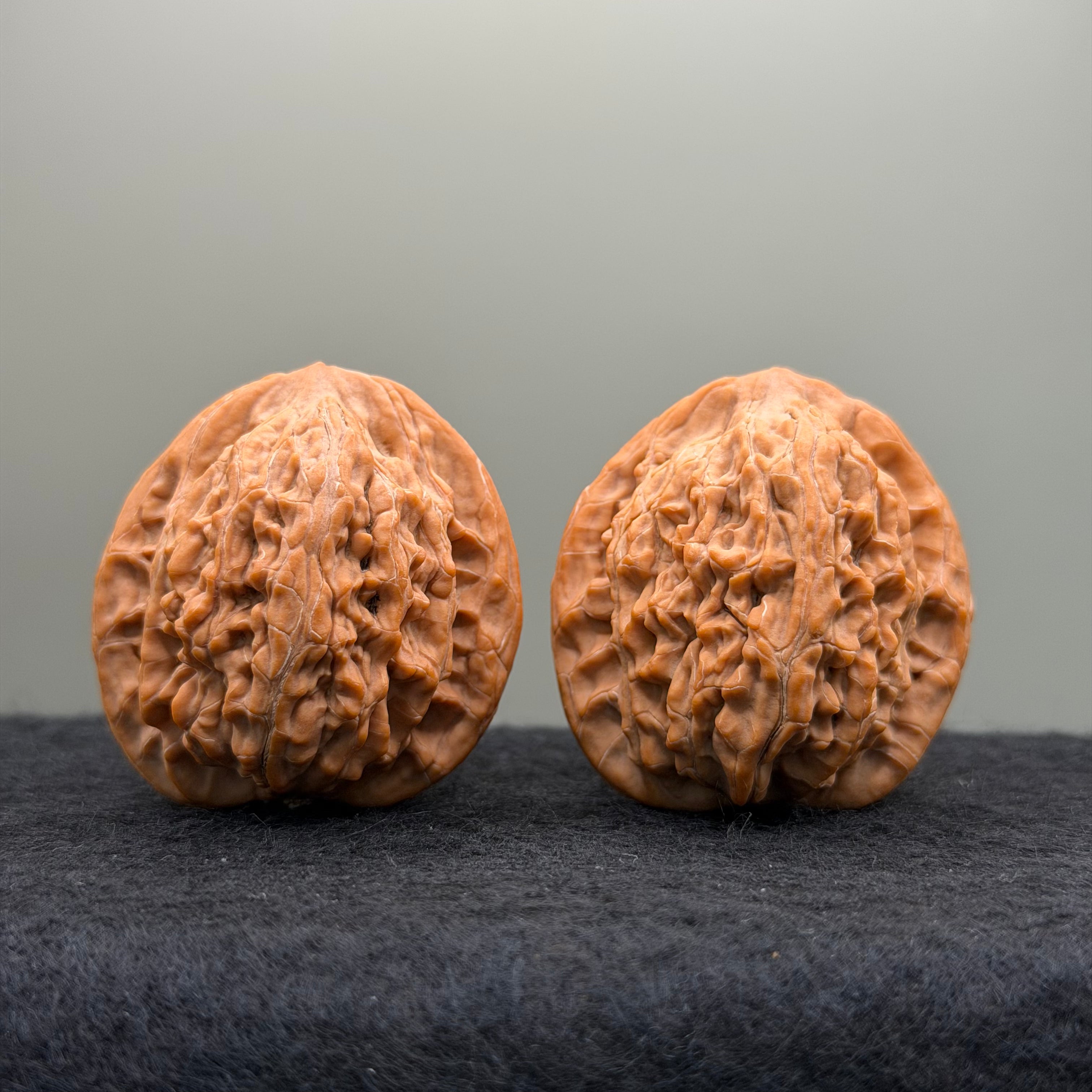 Moon Gazing Lion Head Wenwan Walnut