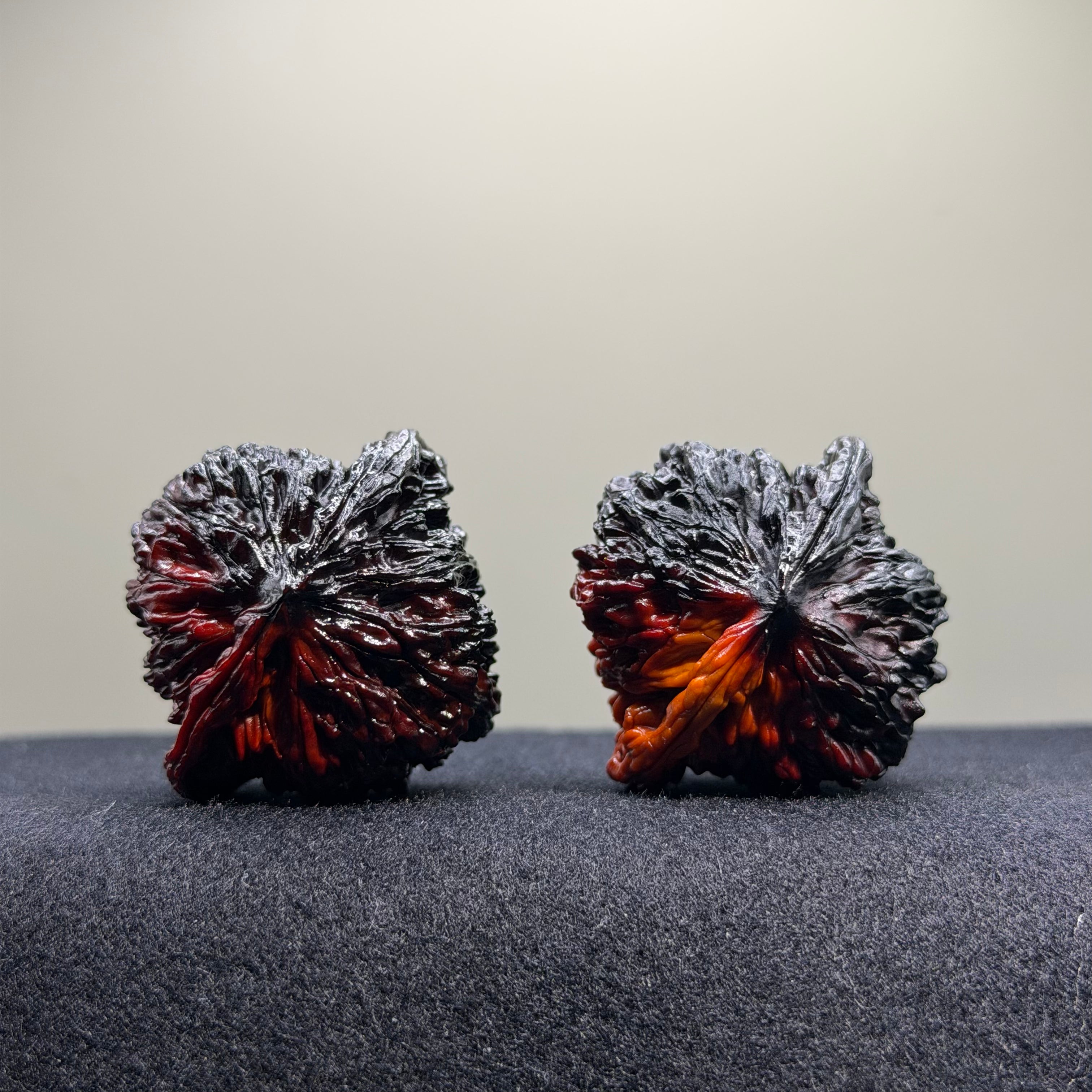 Ghost Rider · Four Towers Ground Buried Wenwan Walnut · 41mm · Select Ritual