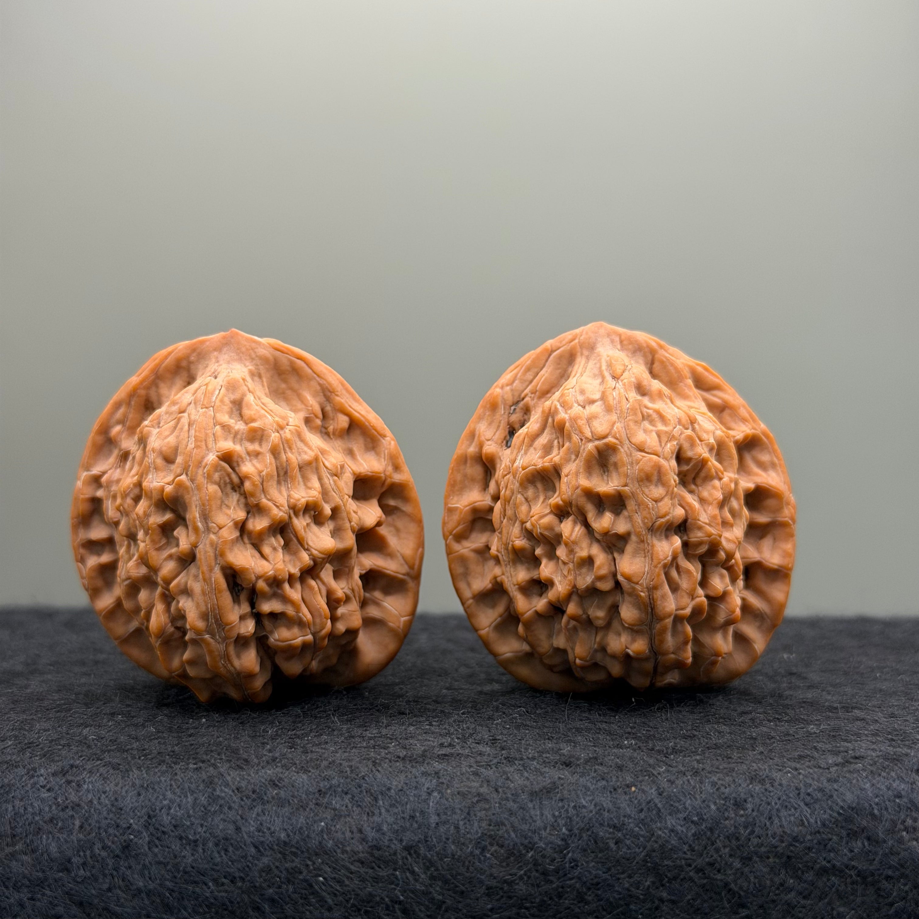 Moon Gazing Lion Head Wenwan Walnut