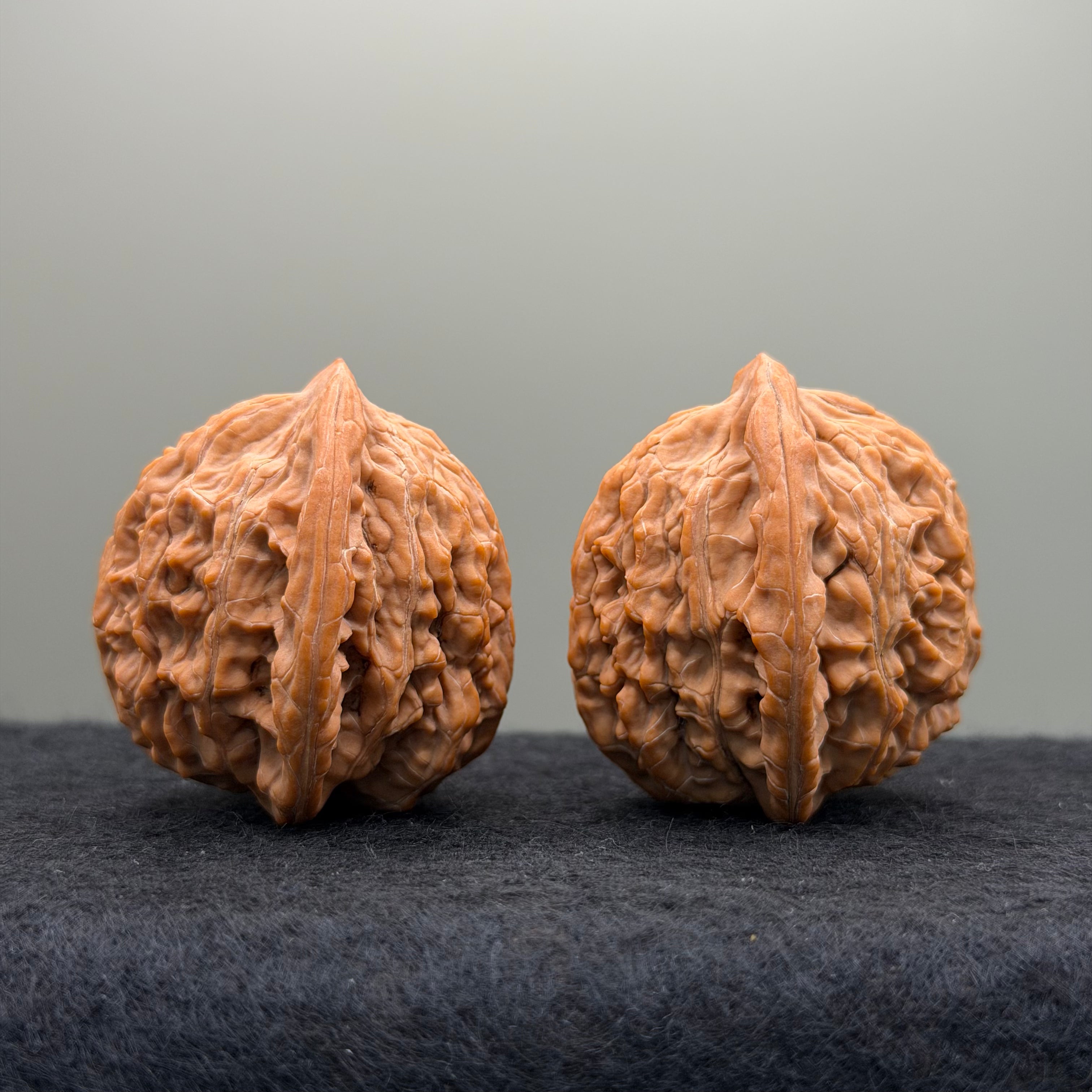 Moon Gazing Lion Head Wenwan Walnut