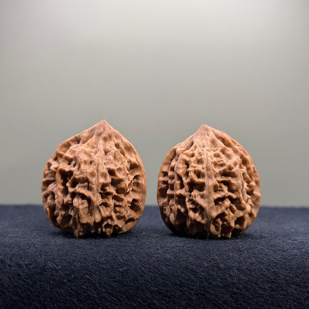 Bison Wenwan Walnut · 31mm · Natural · Select Ritual