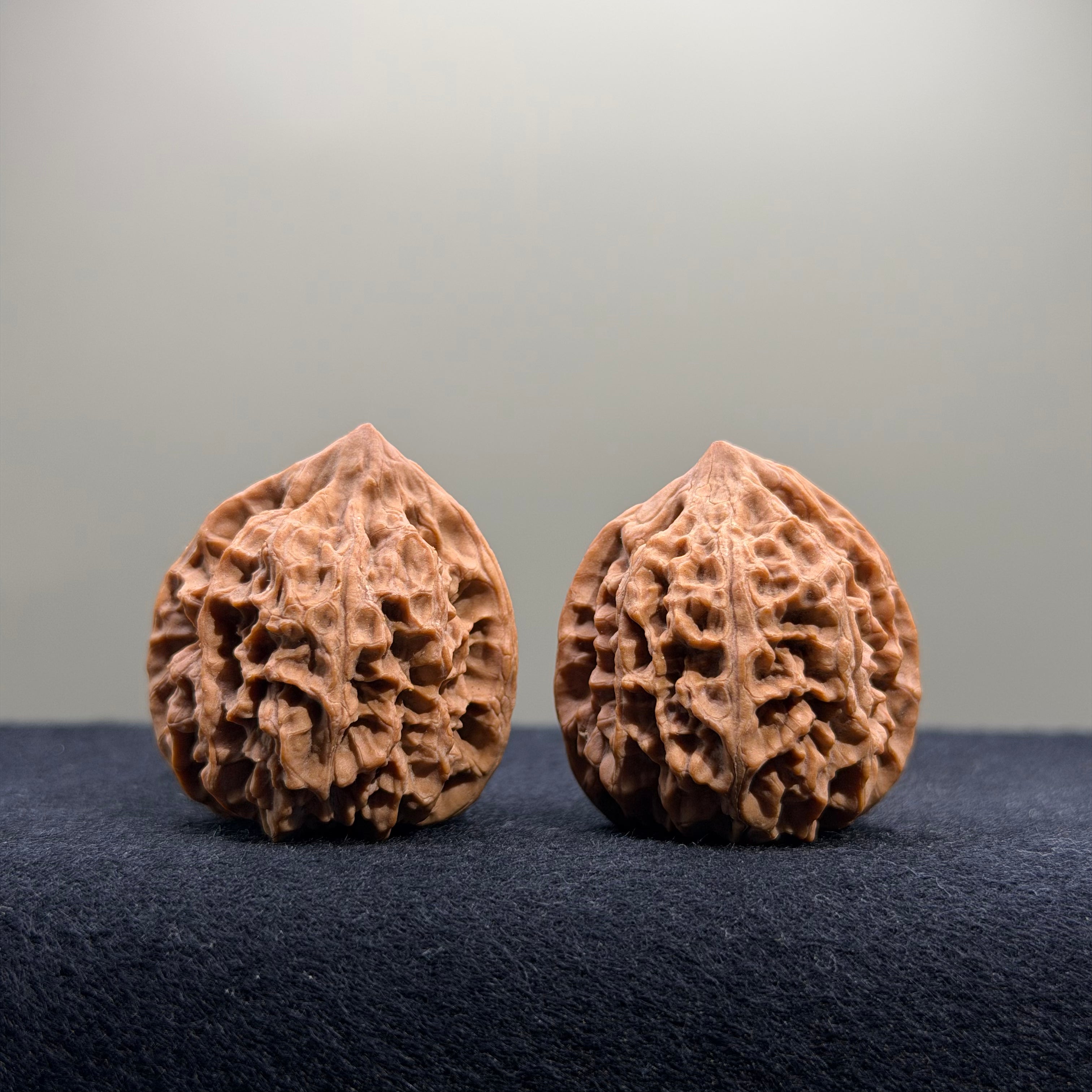 Bison Wenwan Walnut · 31mm · Natural · Select Ritual