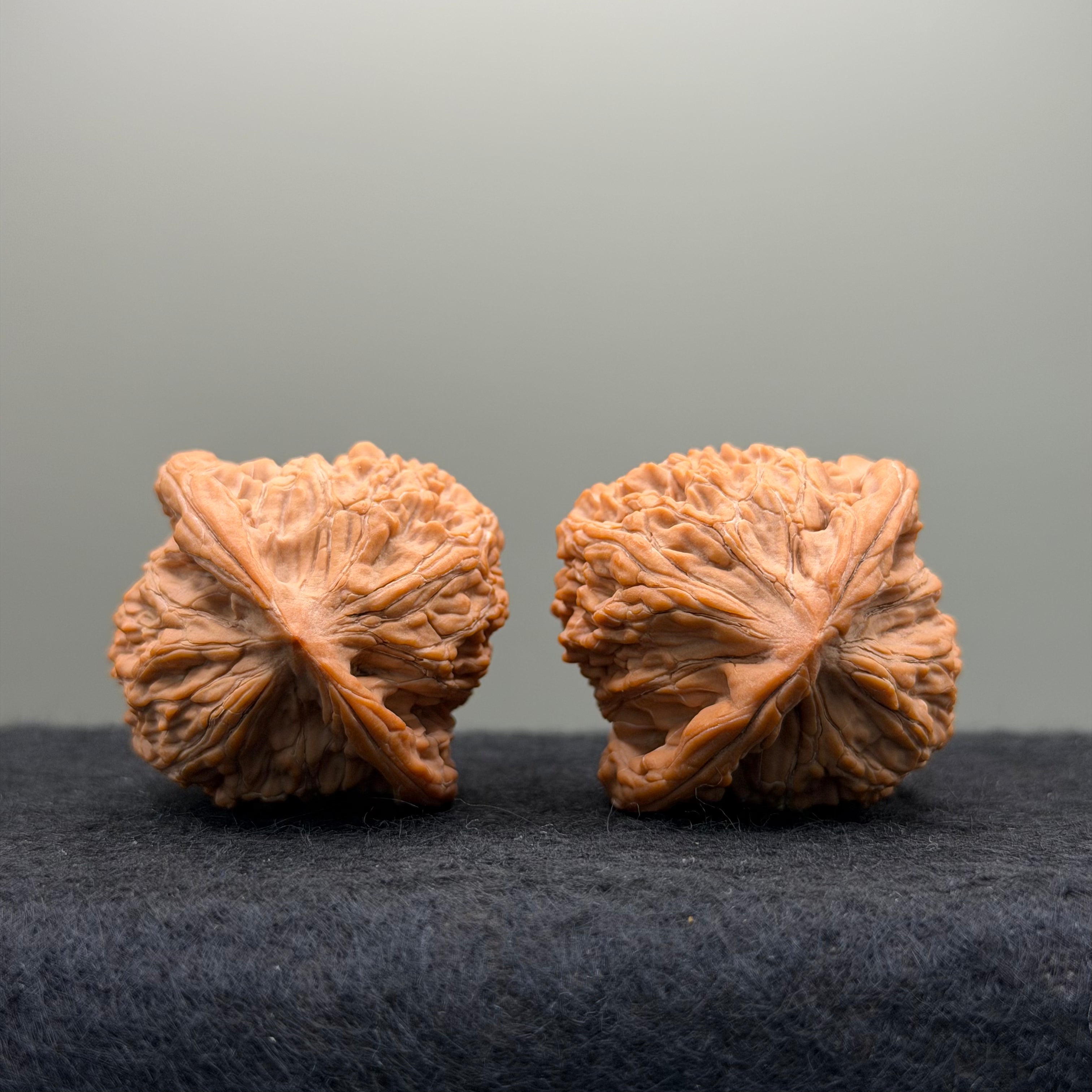 Moon Gazing Lion Head Wenwan Walnut