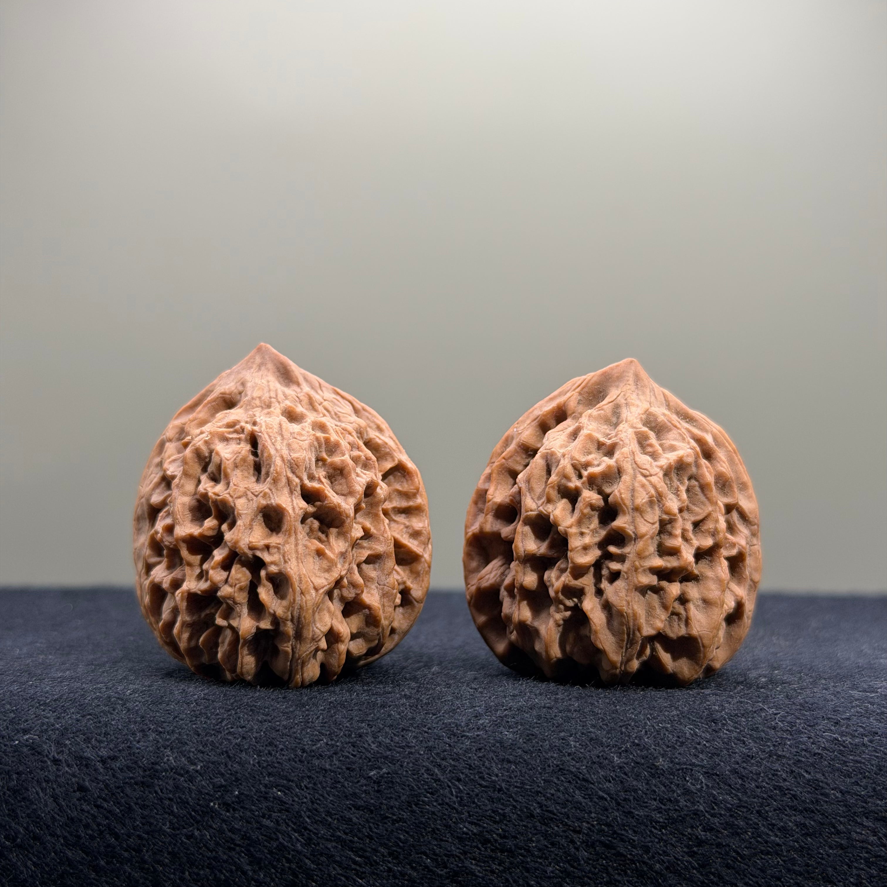 Bison Wenwan Walnut · 31mm · Natural · Select Ritual