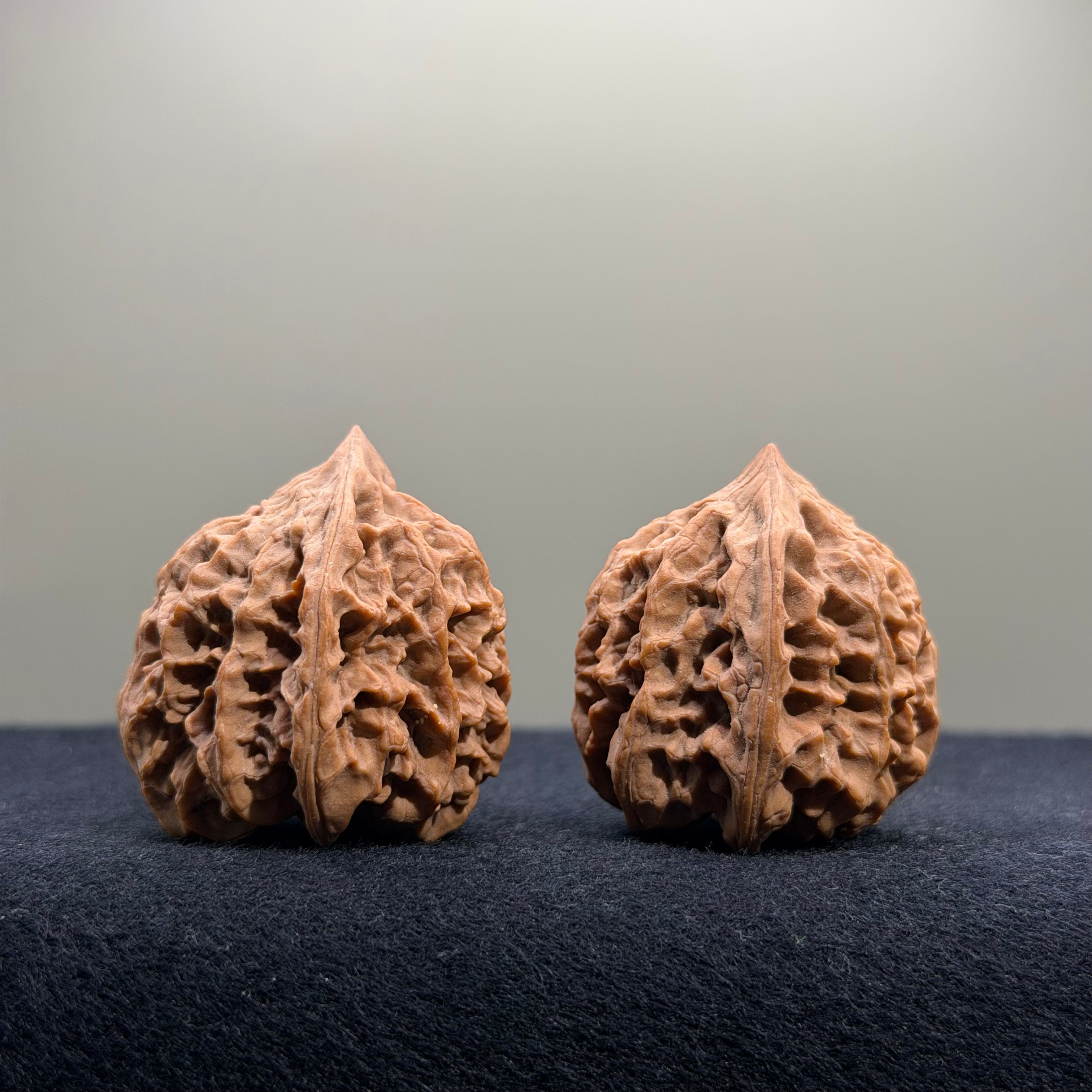 Bison Wenwan Walnut · 31mm · Natural · Select Ritual