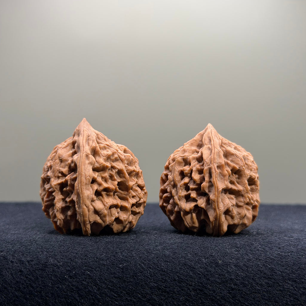 Bison Wenwan Walnut · 31mm · Natural · Select Ritual