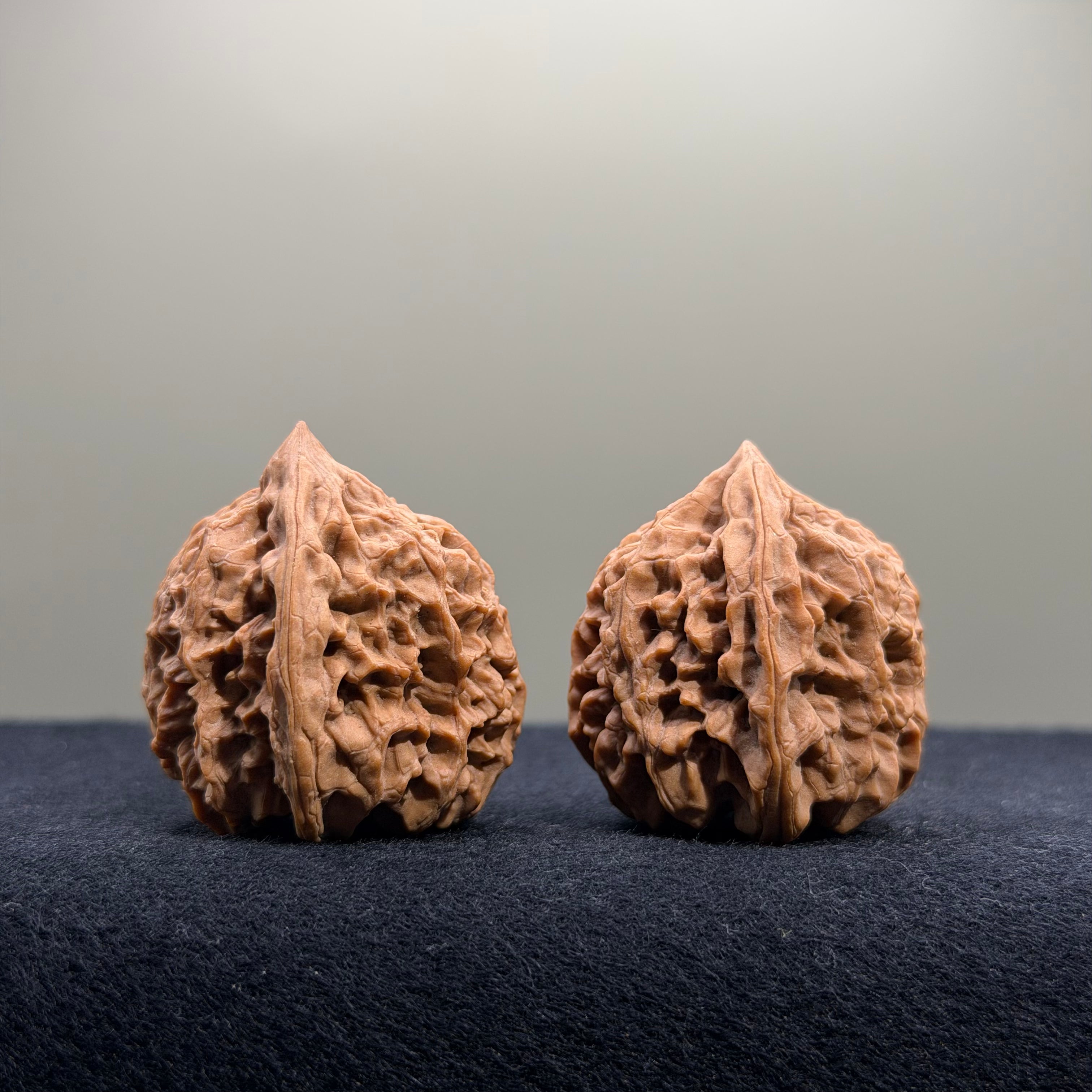 Bison Wenwan Walnut · 31mm · Natural · Select Ritual