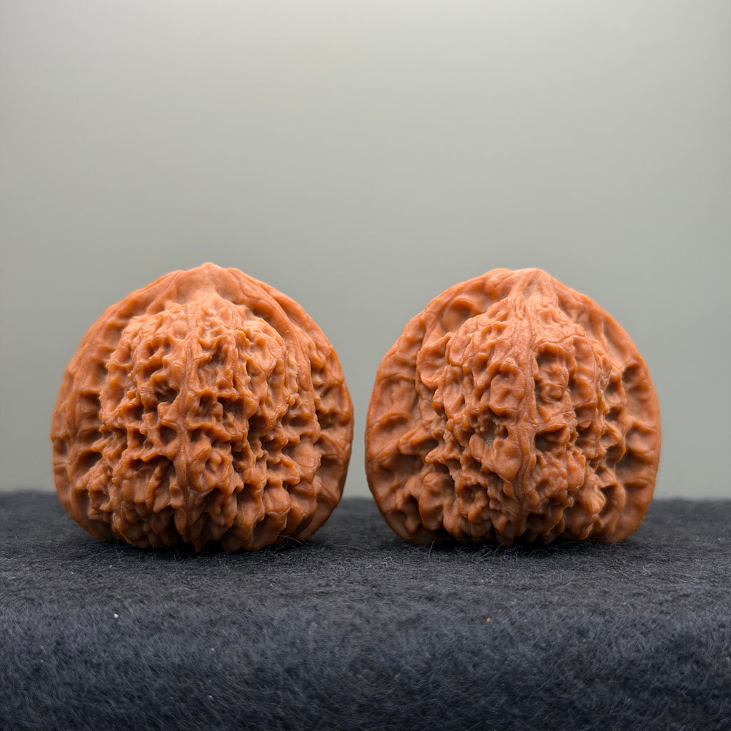 Nanjiang Stone Lion Head Wenwan Walnut