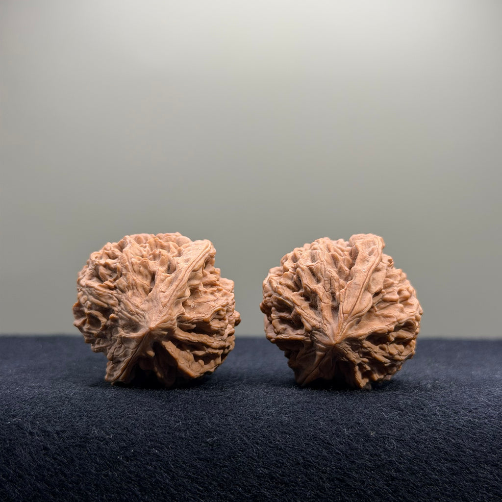 Bison Wenwan Walnut · 31mm · Natural · Select Ritual