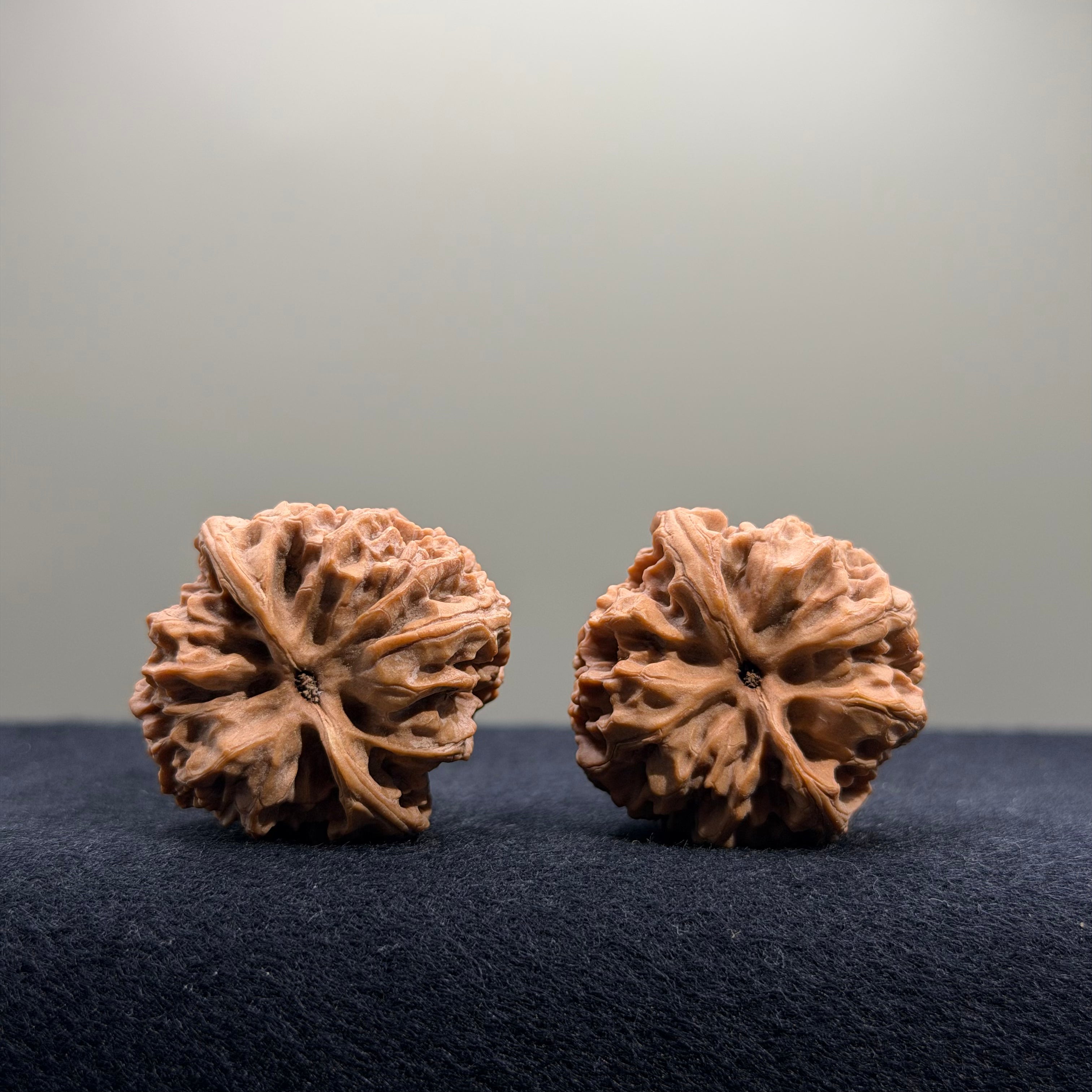 Bison Wenwan Walnut · 31mm · Natural · Select Ritual