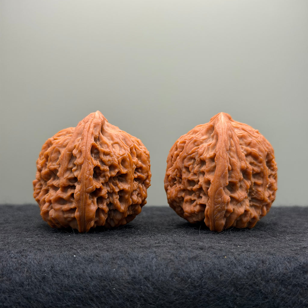 Nanjiang Stone Lion Head Wenwan Walnut