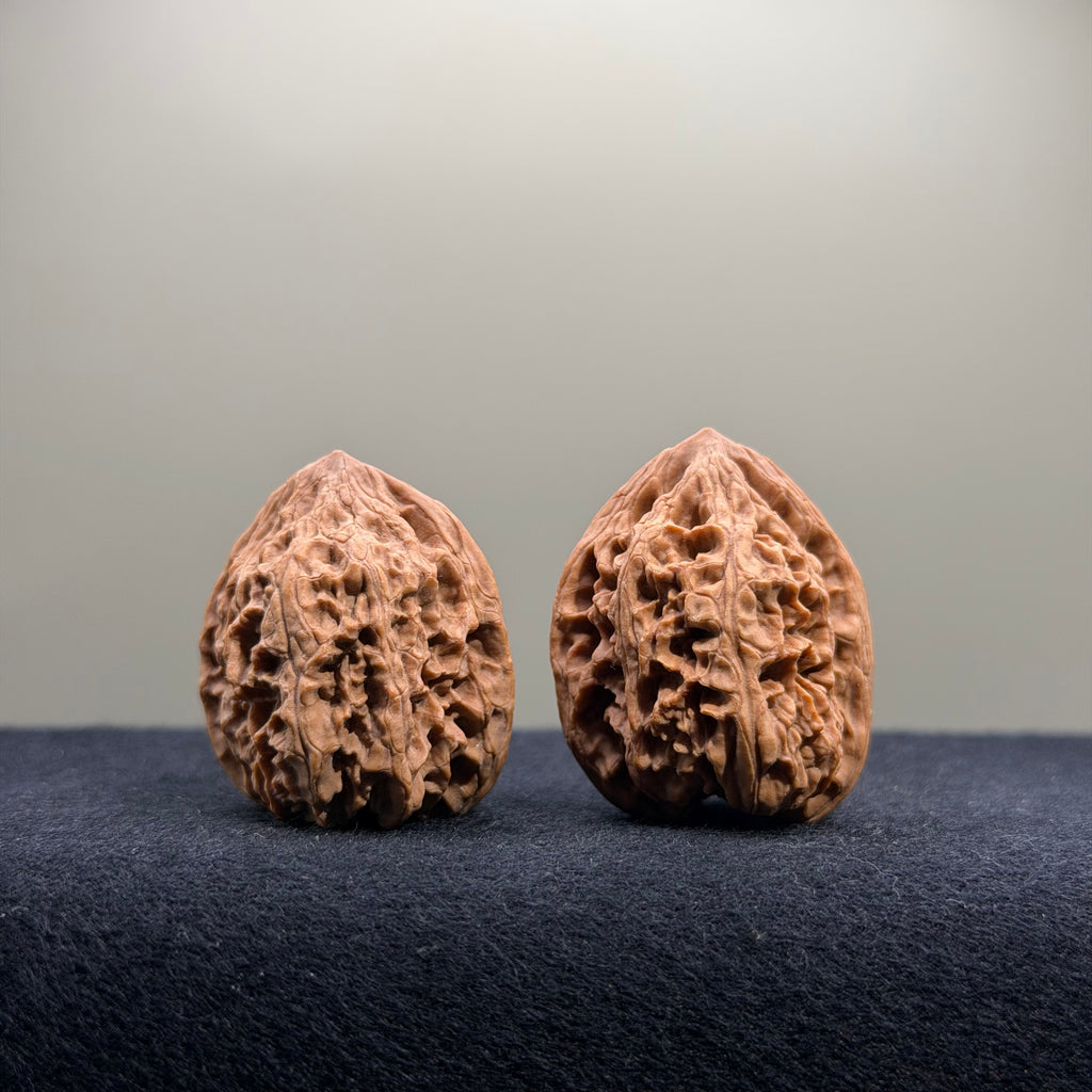 Bison Wenwan Walnut · 30mm · Natural · Select Ritual