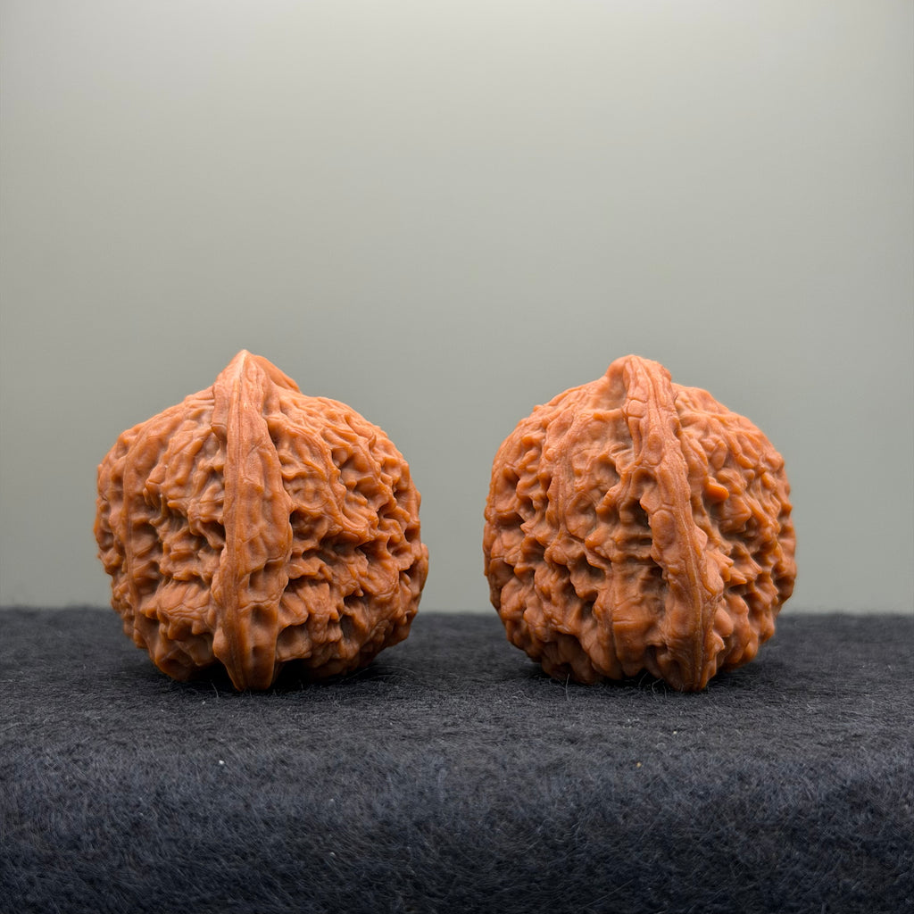 Nanjiang Stone Lion Head Wenwan Walnut
