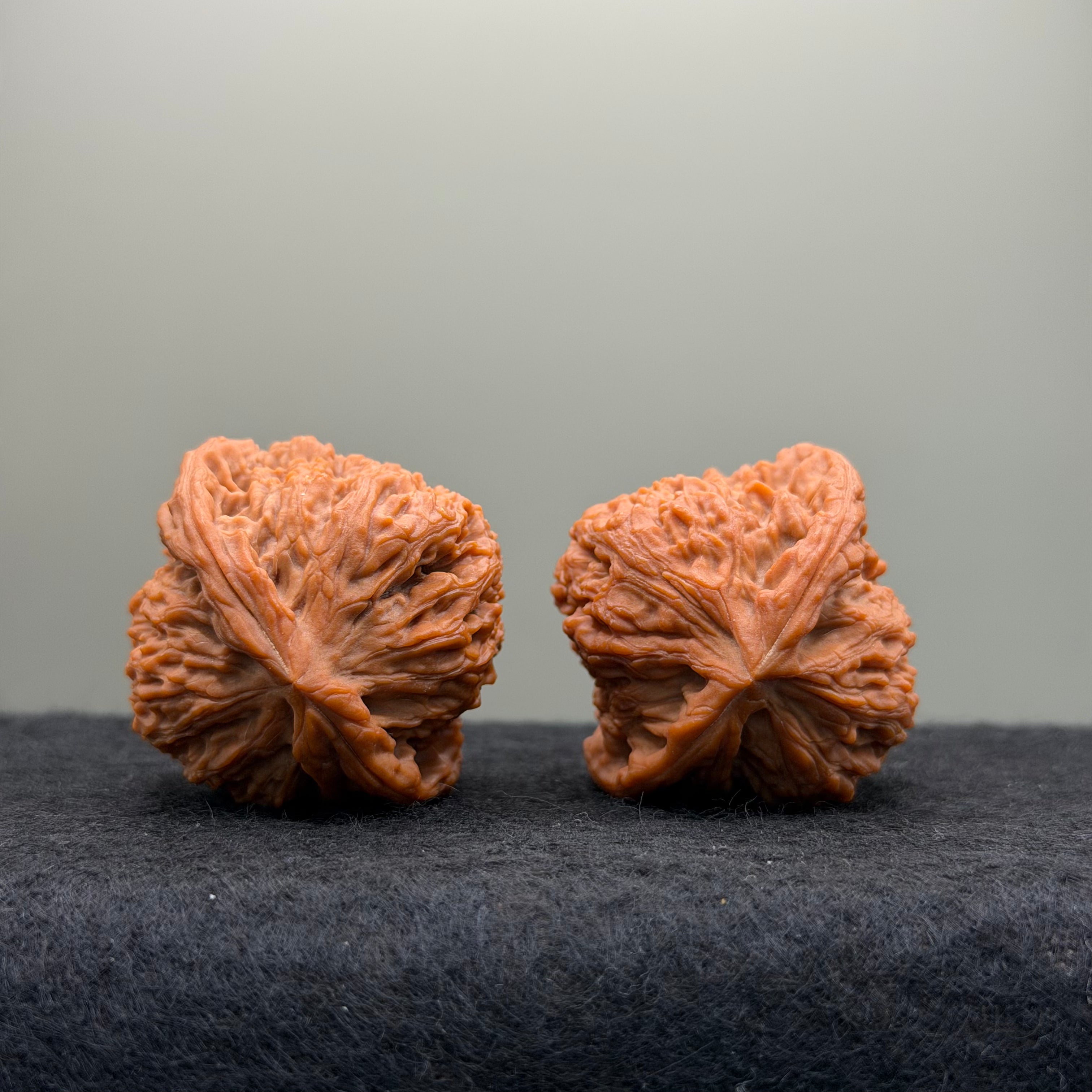 Nanjiang Stone Lion Head Wenwan Walnut
