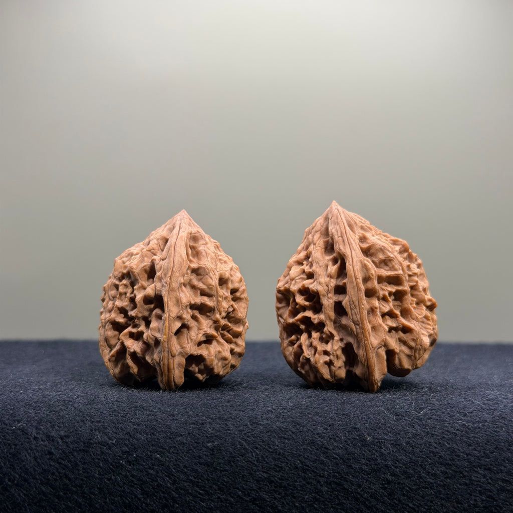 Bison Wenwan Walnut · 30mm · Natural · Select Ritual