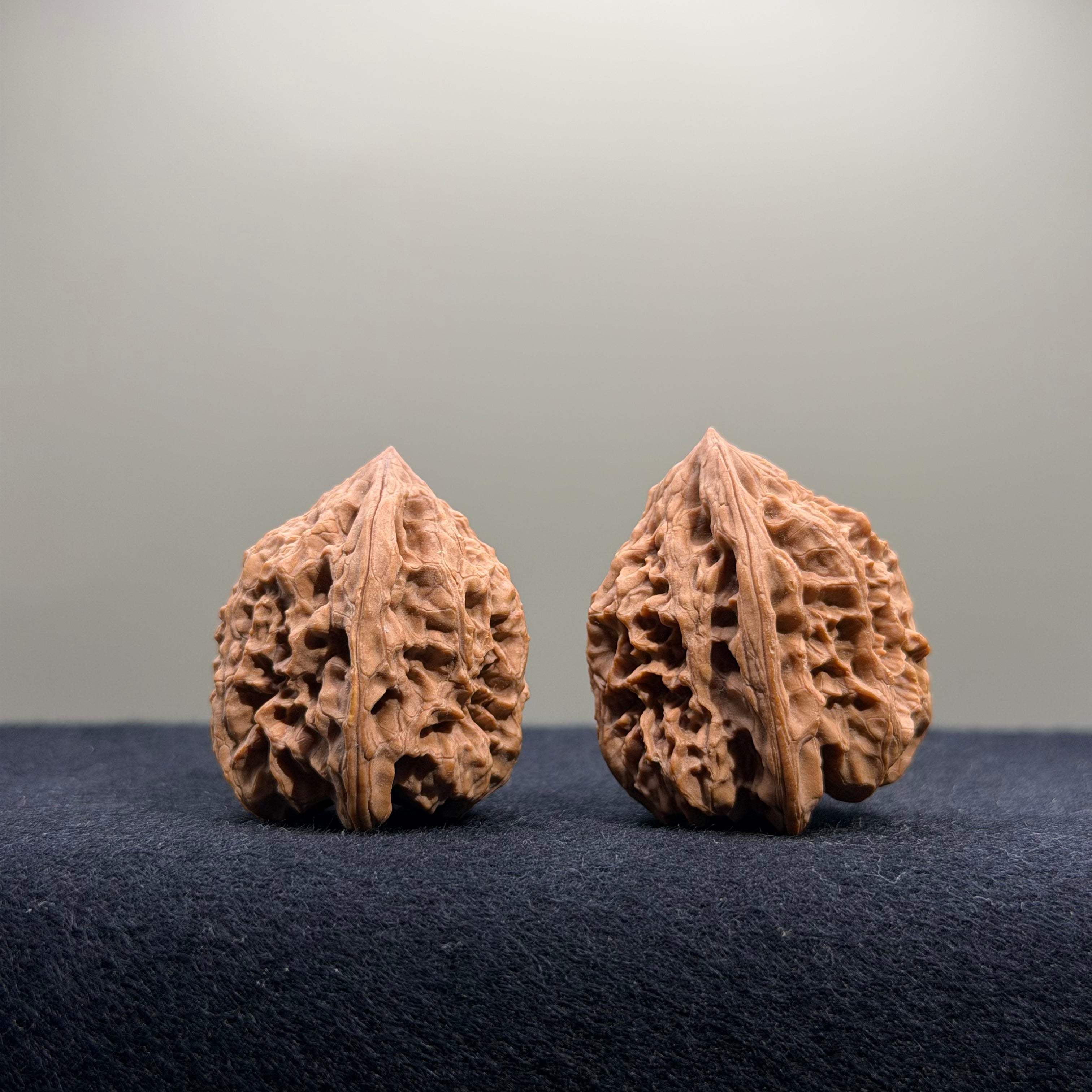 Bison Wenwan Walnut · 30mm · Natural · Select Ritual