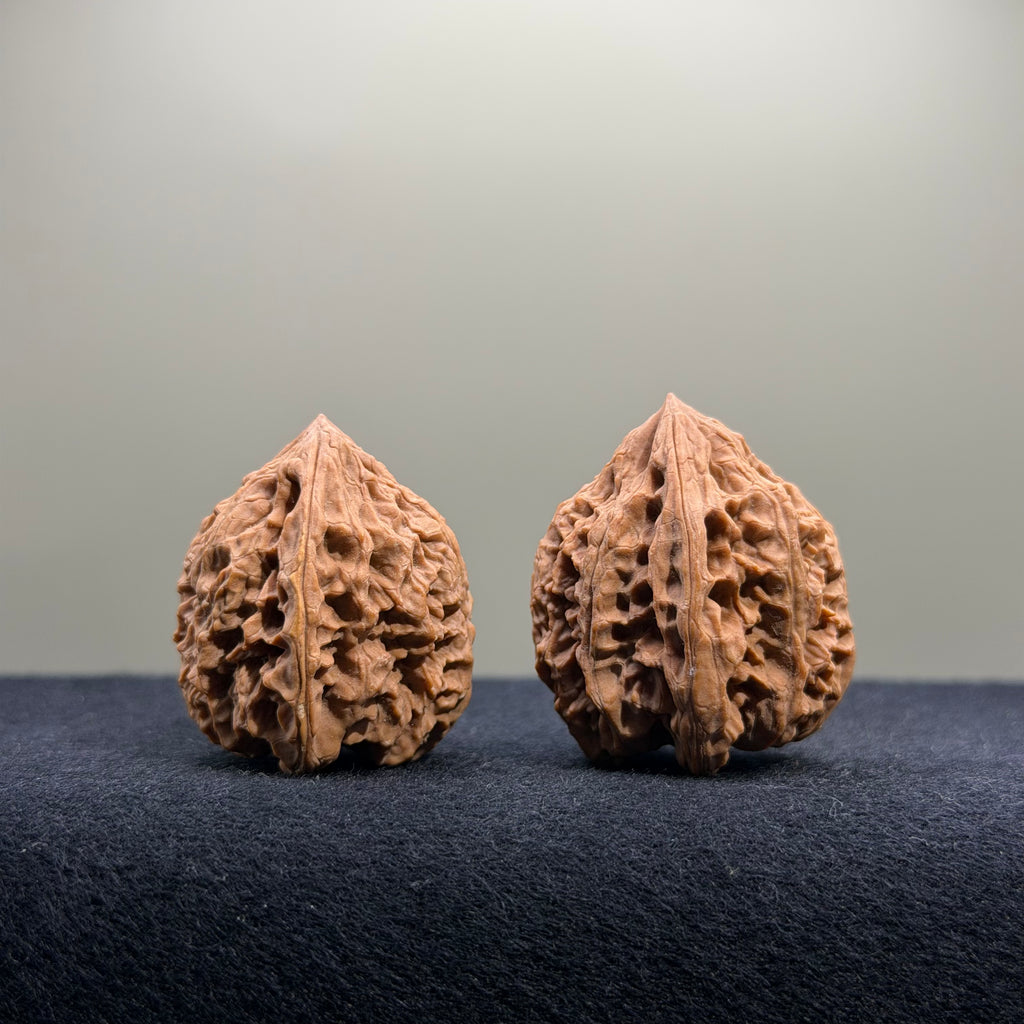 Bison Wenwan Walnut · 30mm · Natural · Select Ritual