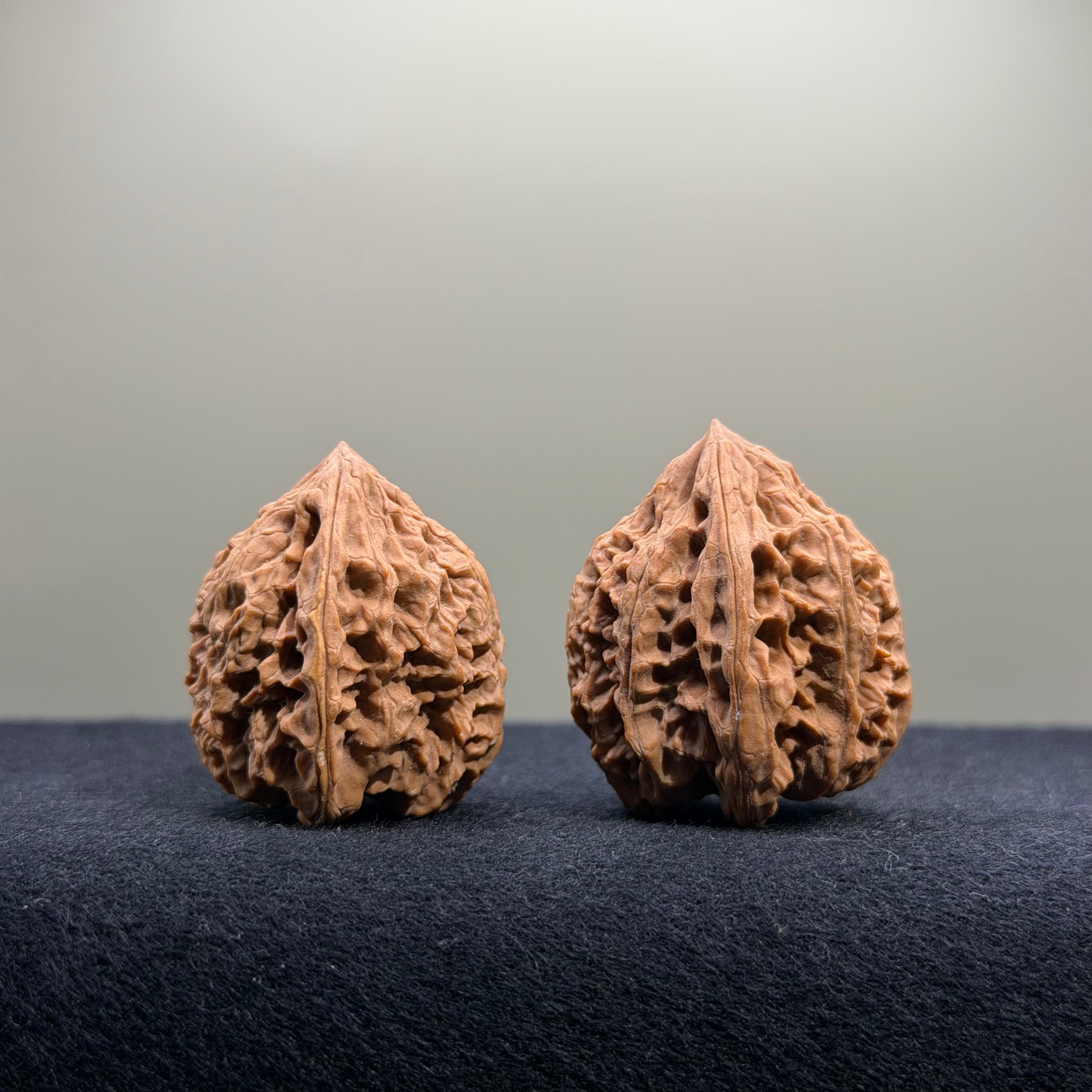 Bison Wenwan Walnut · 30mm · Natural · Select Ritual