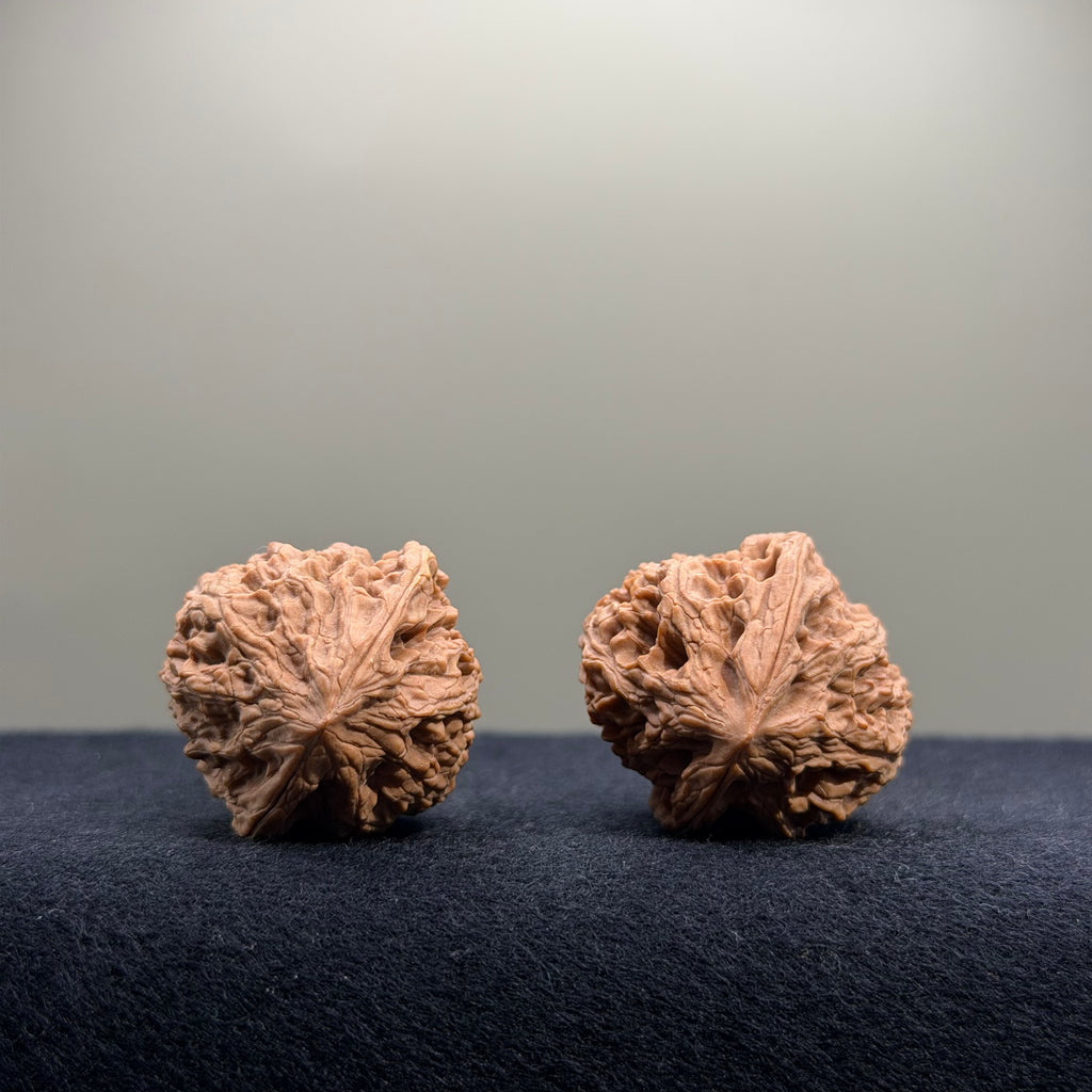 Bison Wenwan Walnut · 30mm · Natural · Select Ritual