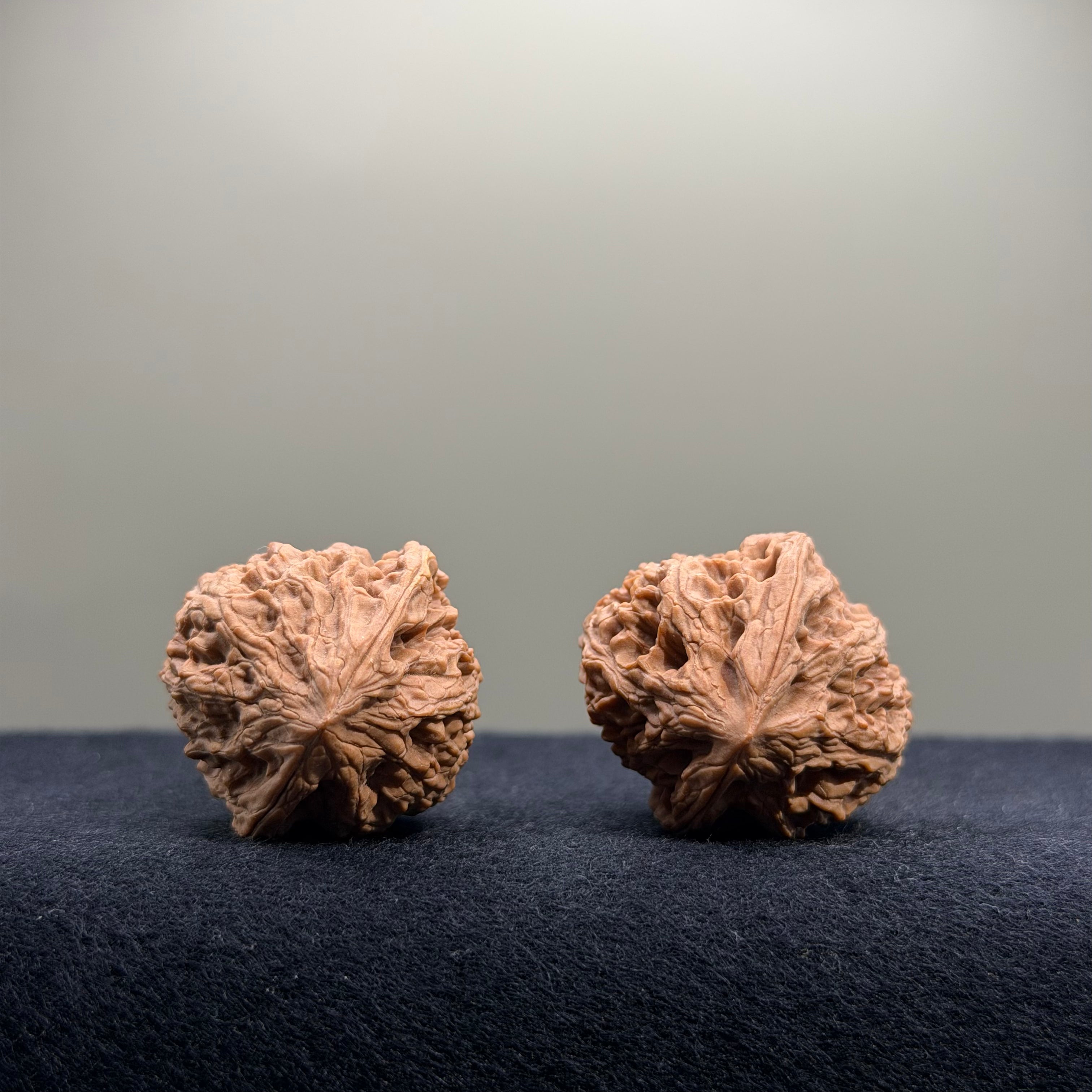 Bison Wenwan Walnut · 30mm · Natural · Select Ritual