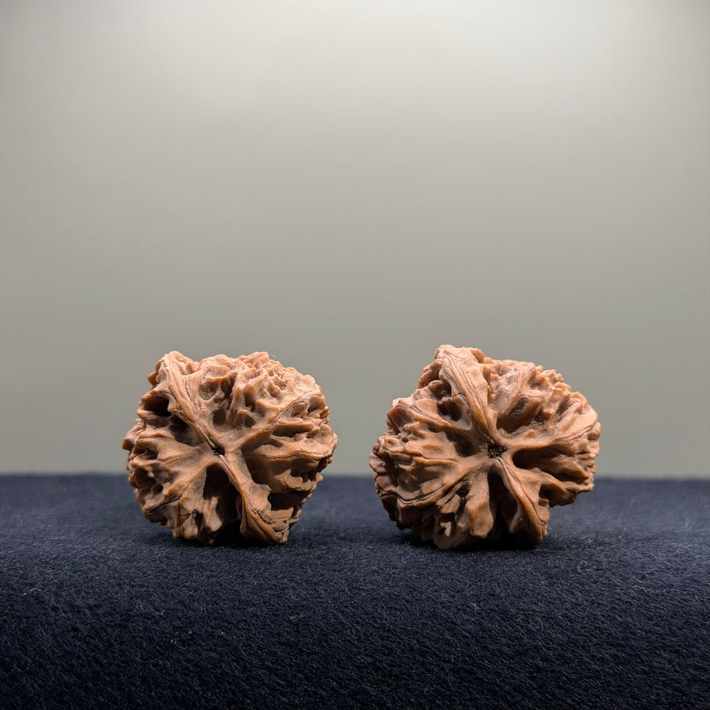 Bison Wenwan Walnut · 30mm · Natural · Select Ritual