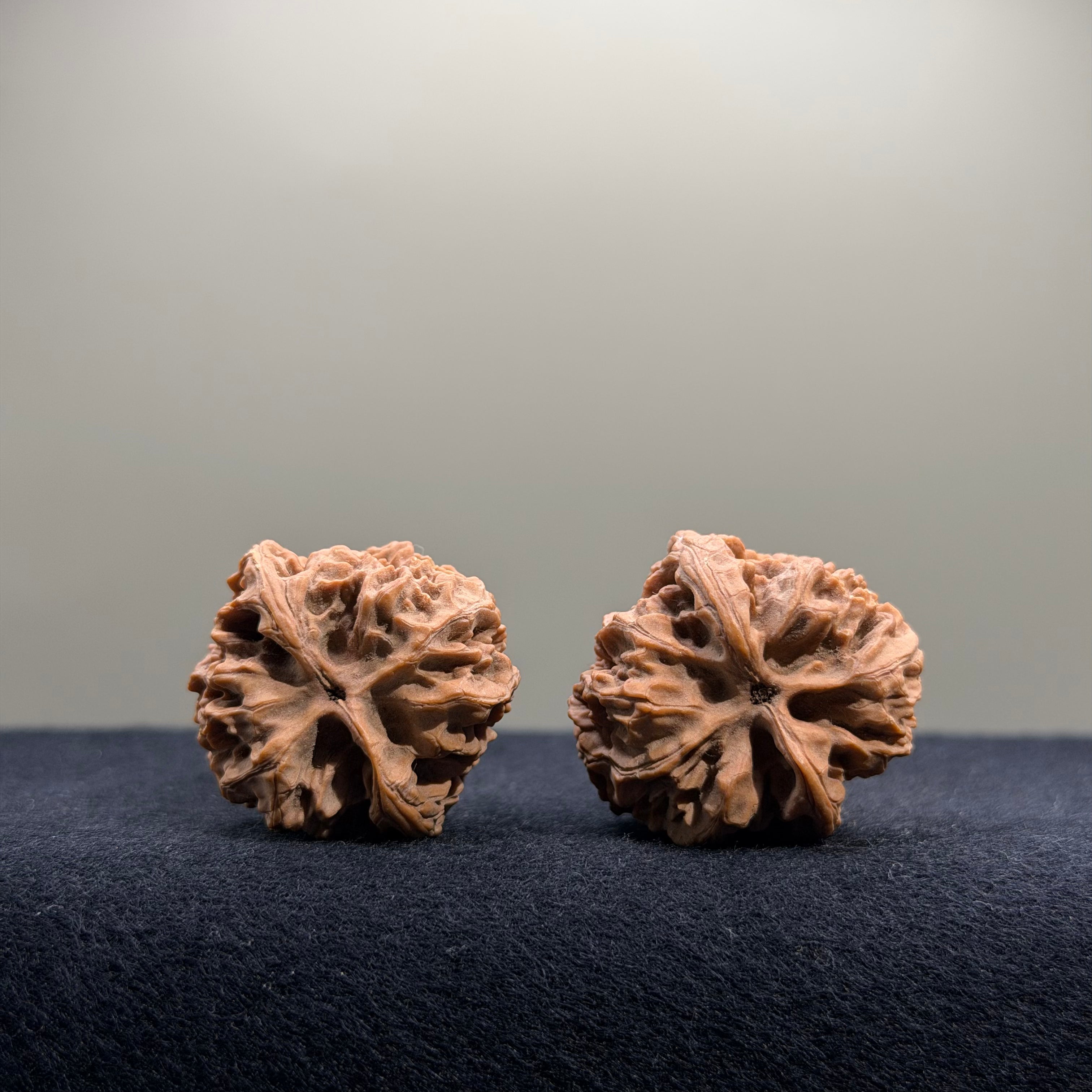 Bison Wenwan Walnut · 30mm · Natural · Select Ritual