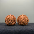 Han Four-Towers Lion Head Wenwan Walnut